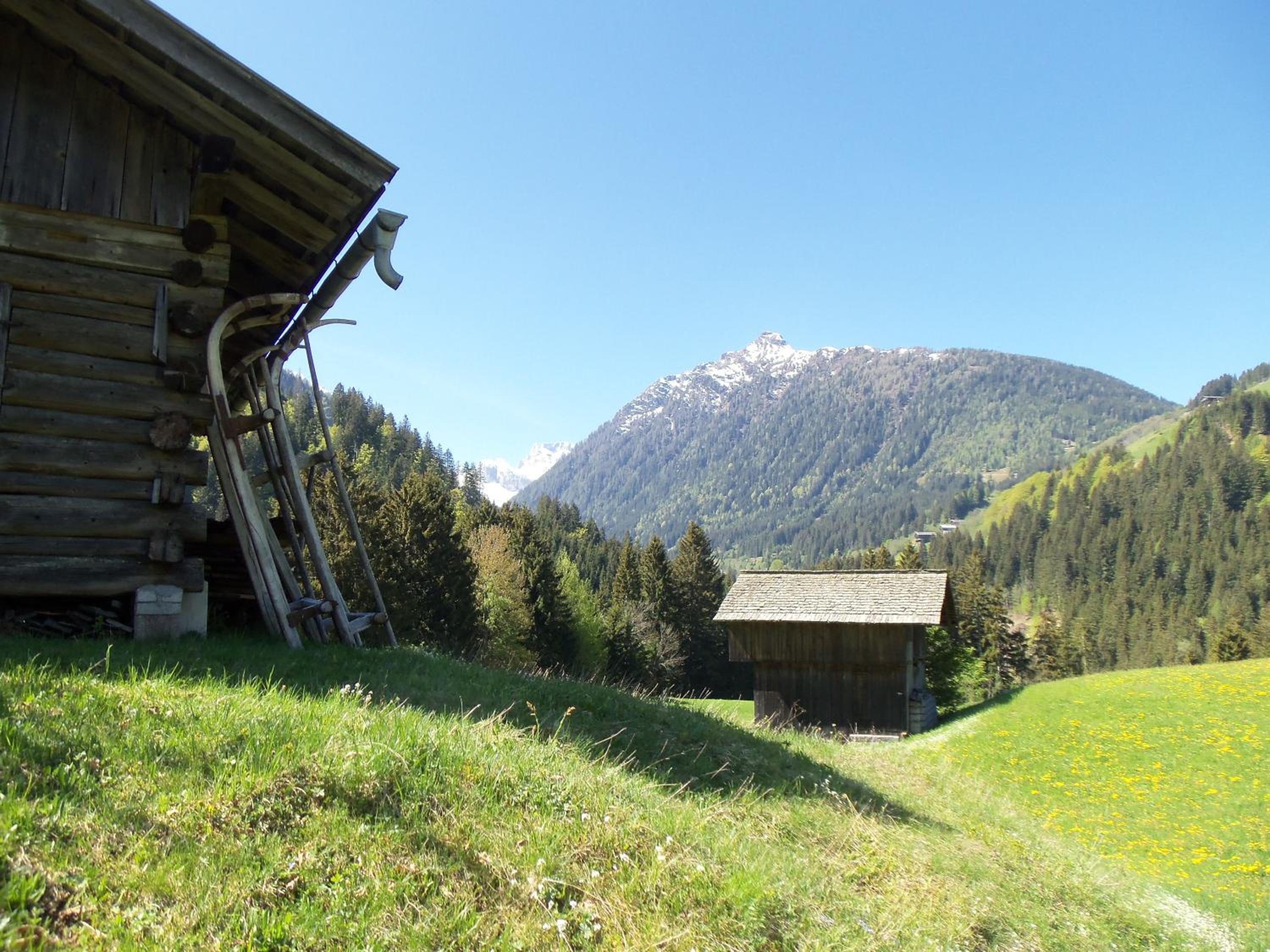 Pension Wilhelmer