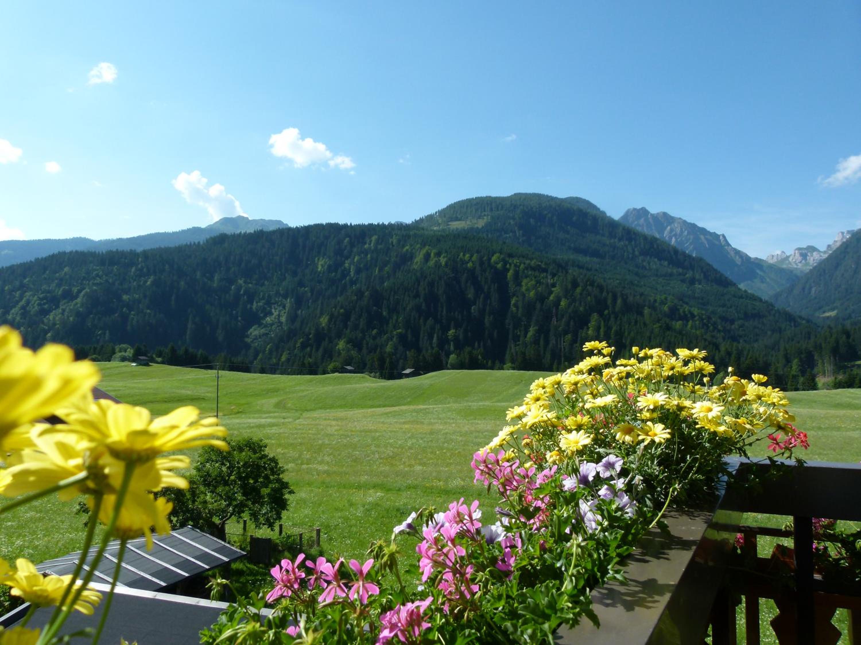 Pension Wilhelmer