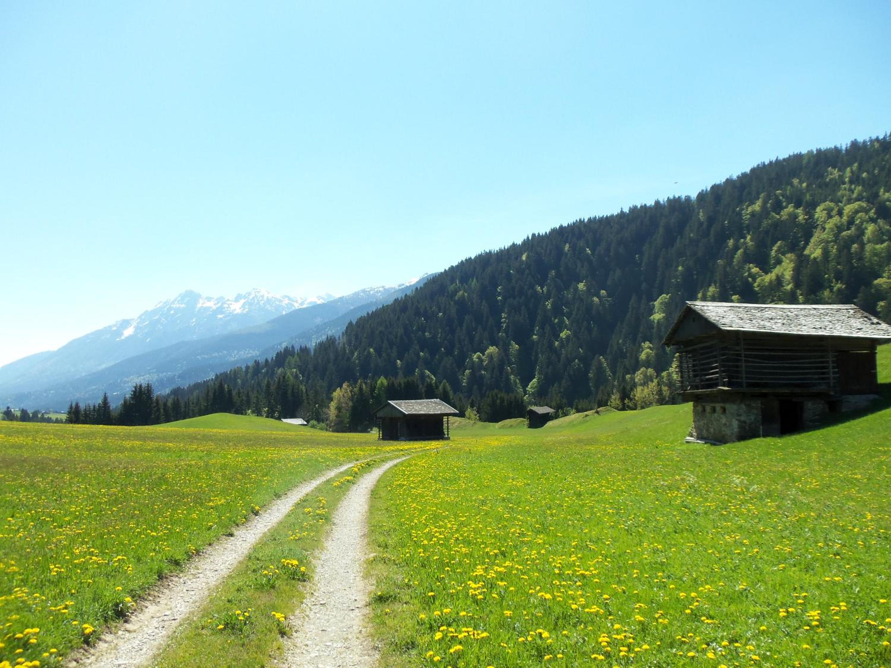 Pension Wilhelmer