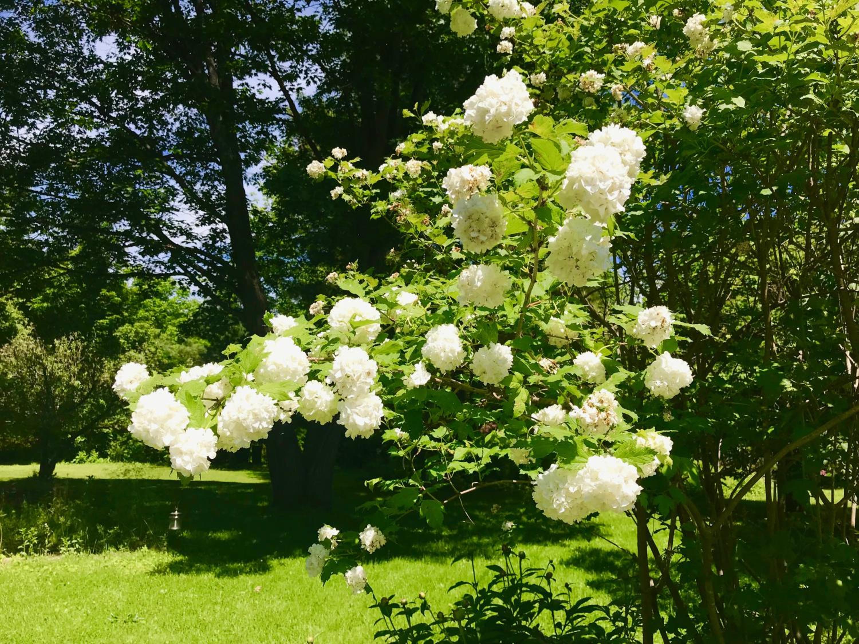 Auberge Tom B&B