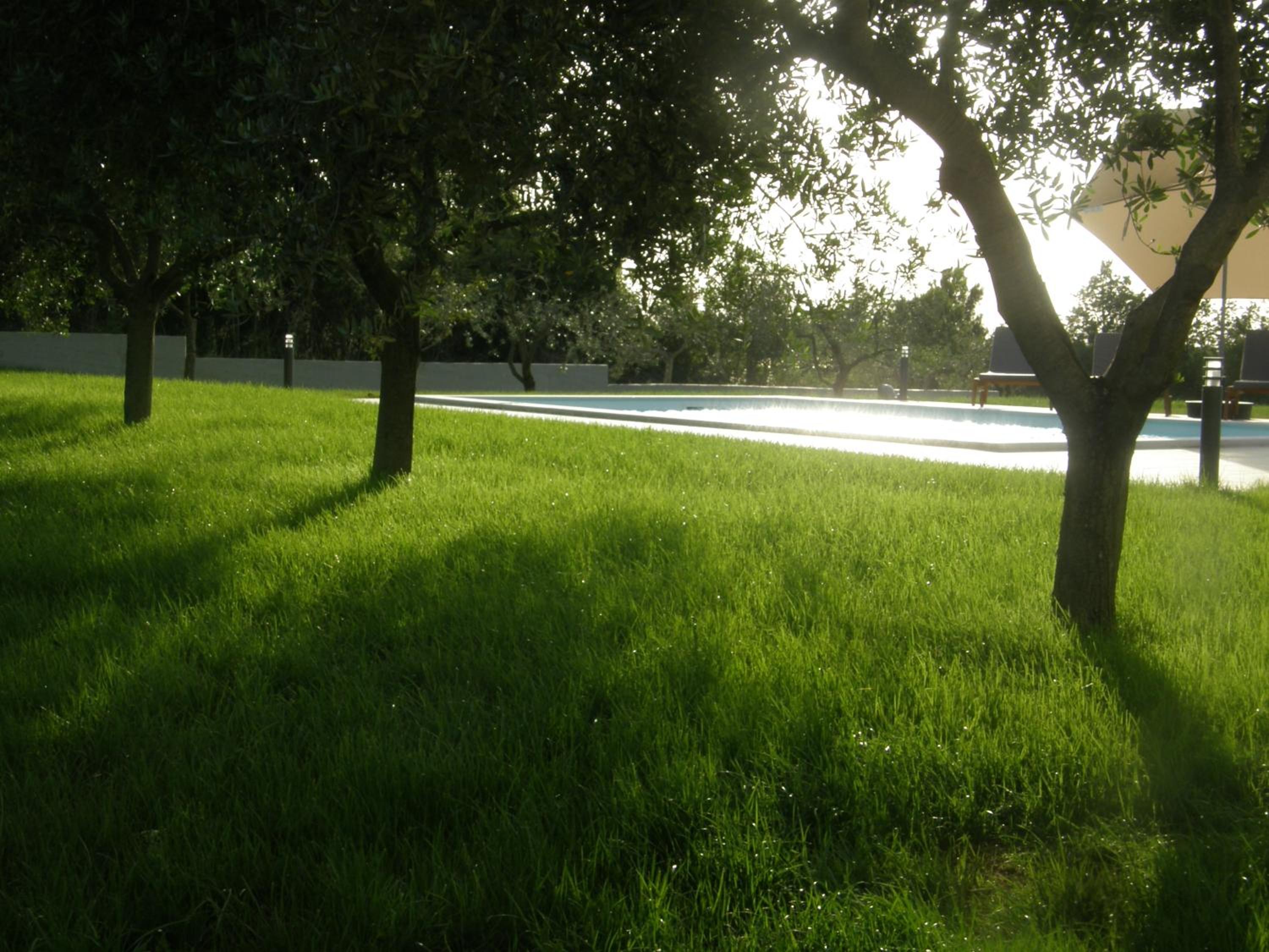 Photo 30