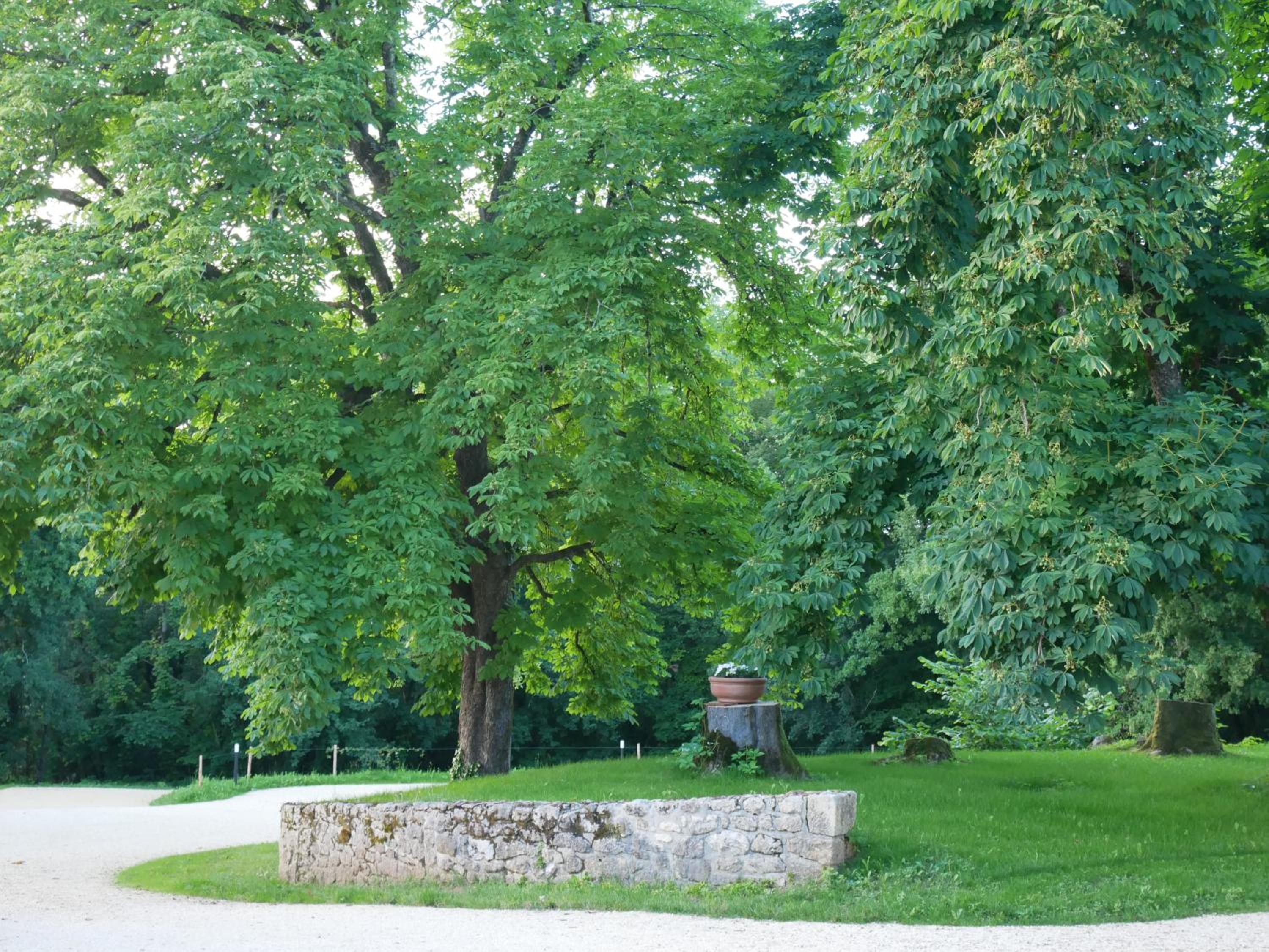 Les Maisons du Cheylard-Lascaux view 2