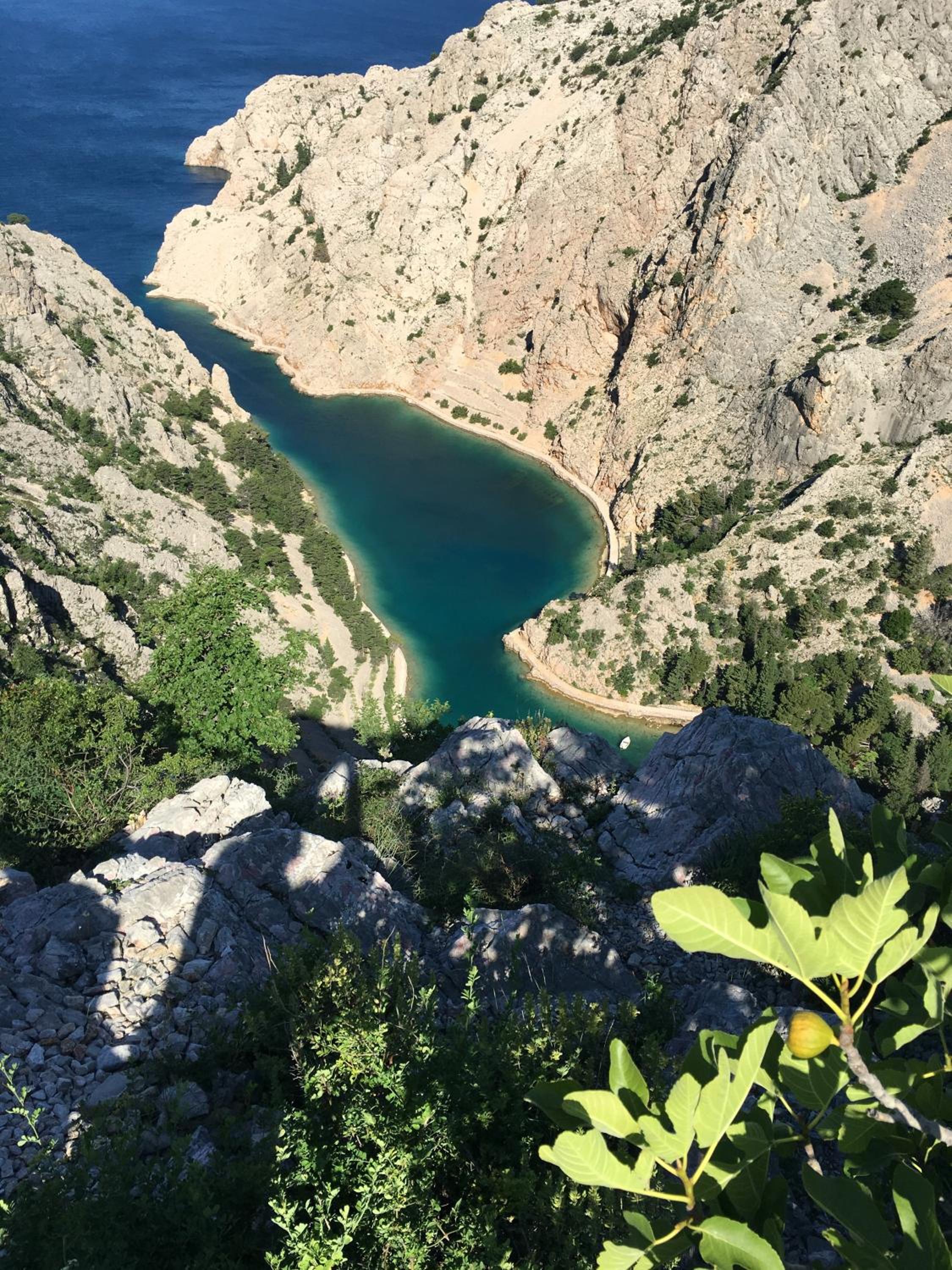 Wil Vannese view 2