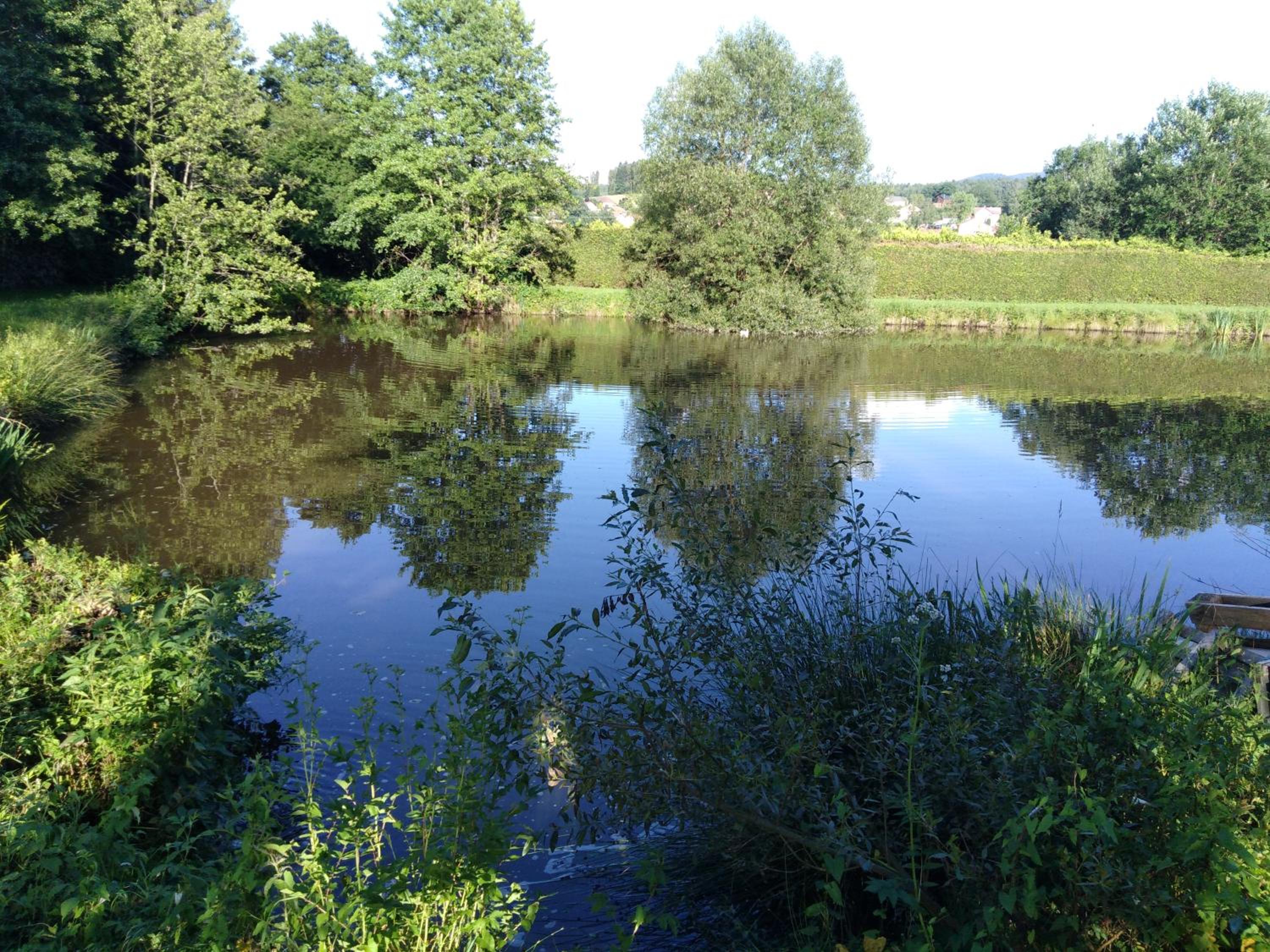 Photo 29