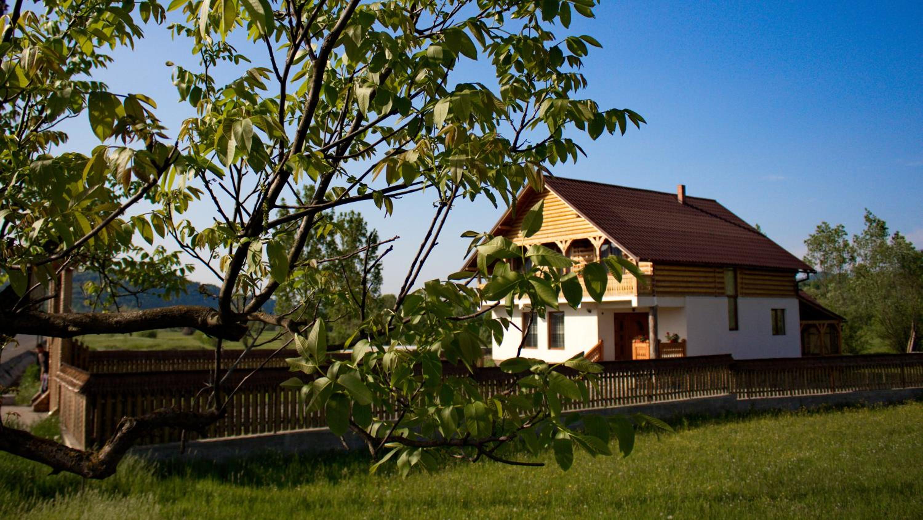Photo 29