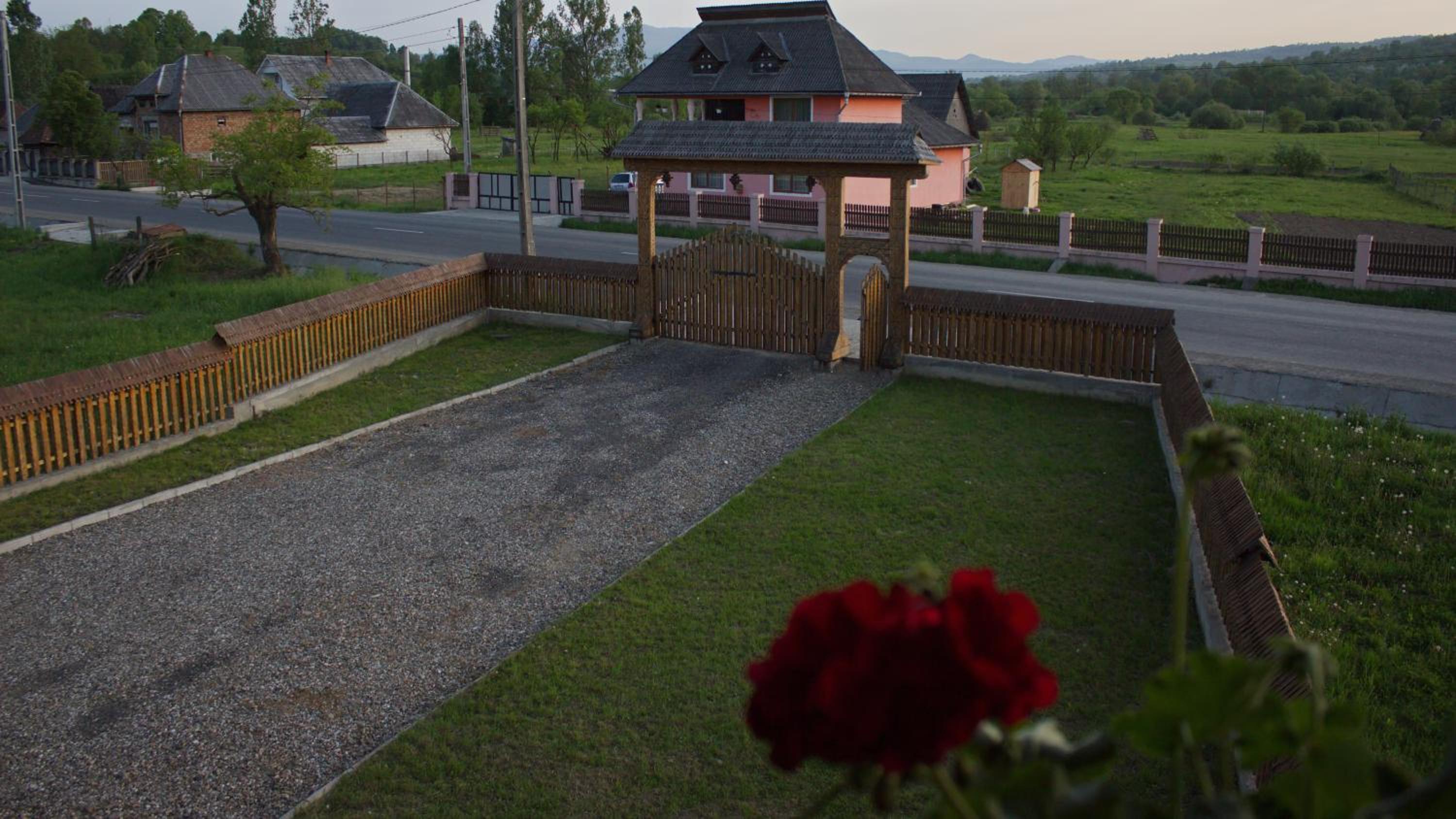 Photo 42