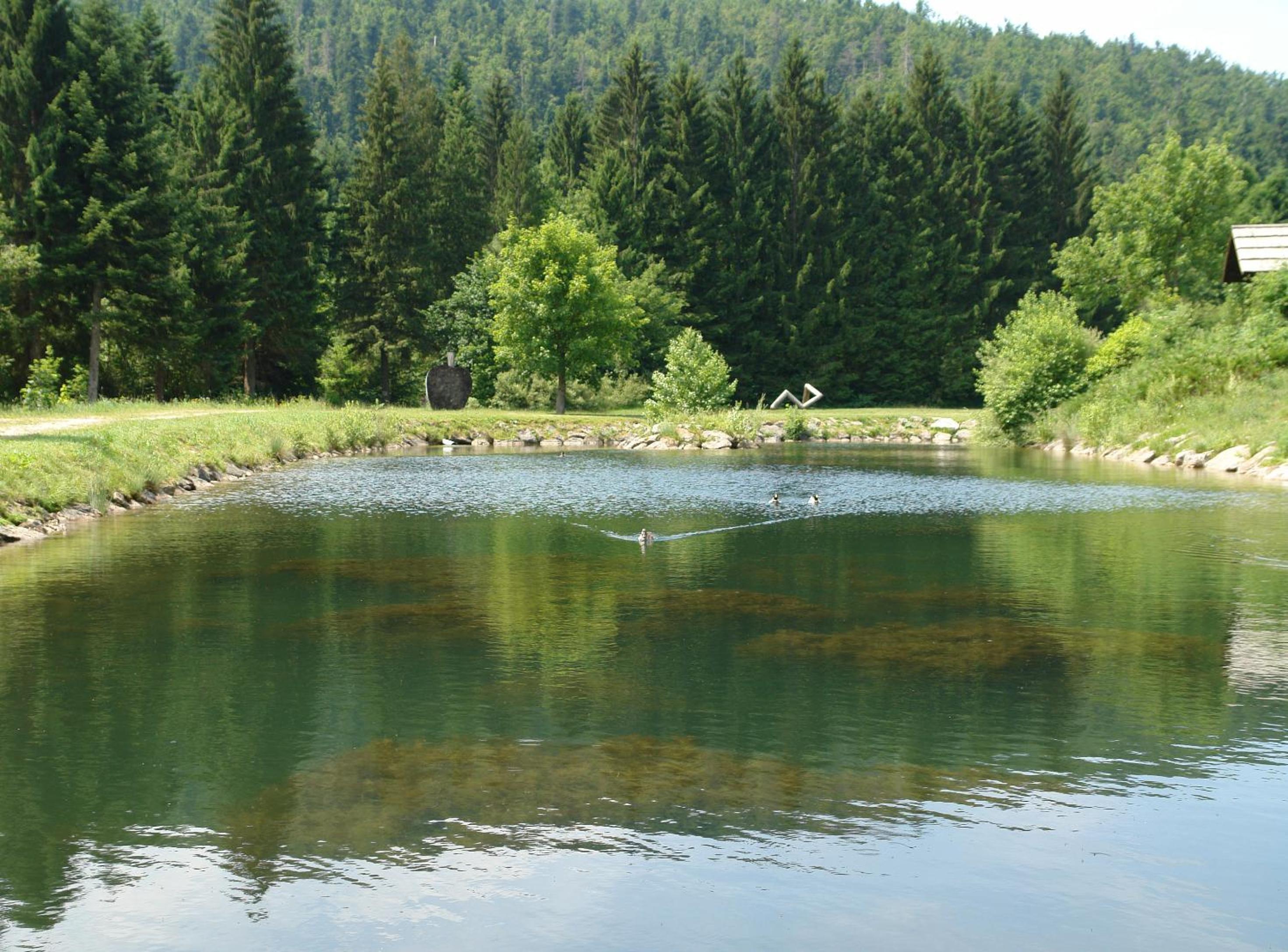 Kod Korita Rooms