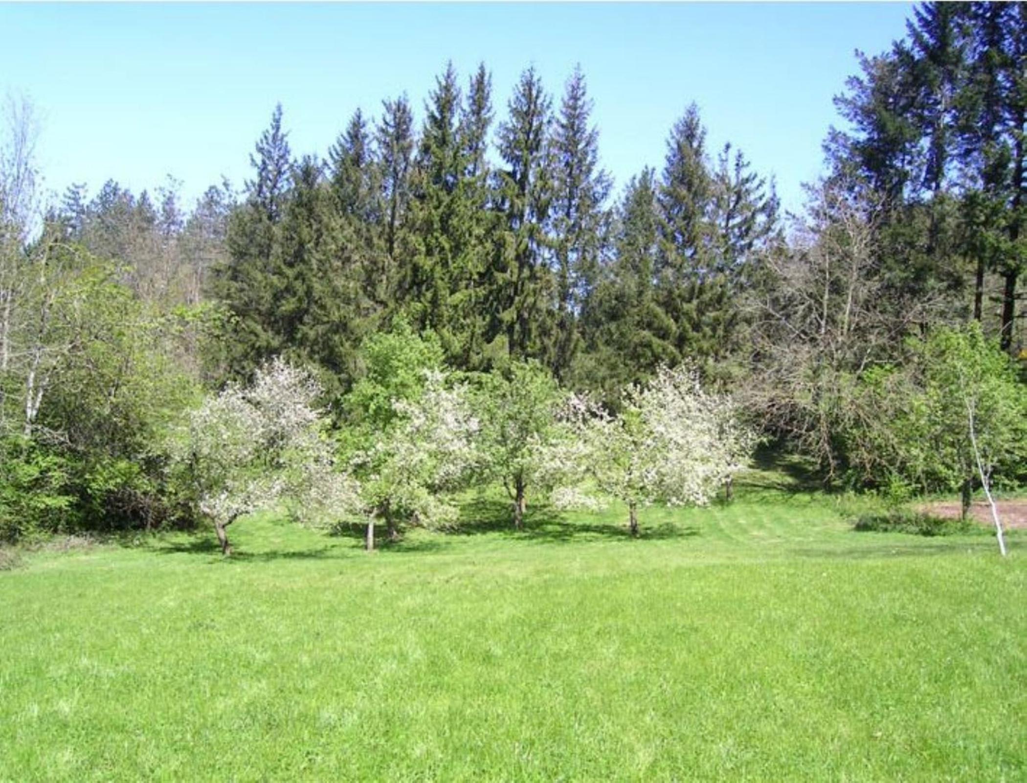 Chambres d'Hotes Baudelys - Property Image 43