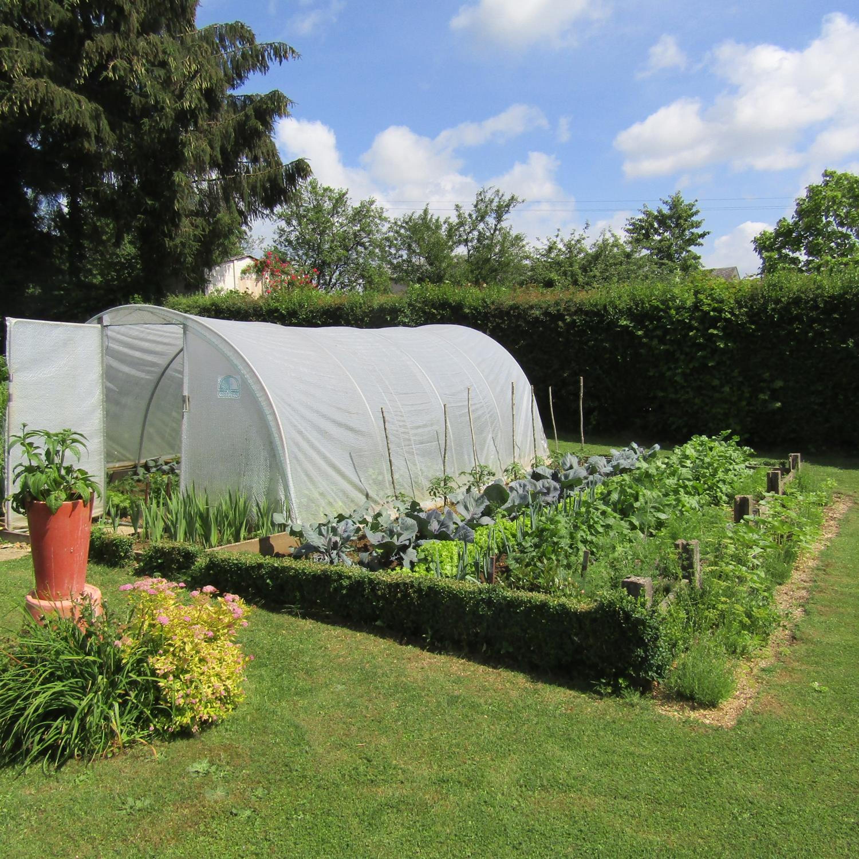 Photo 17