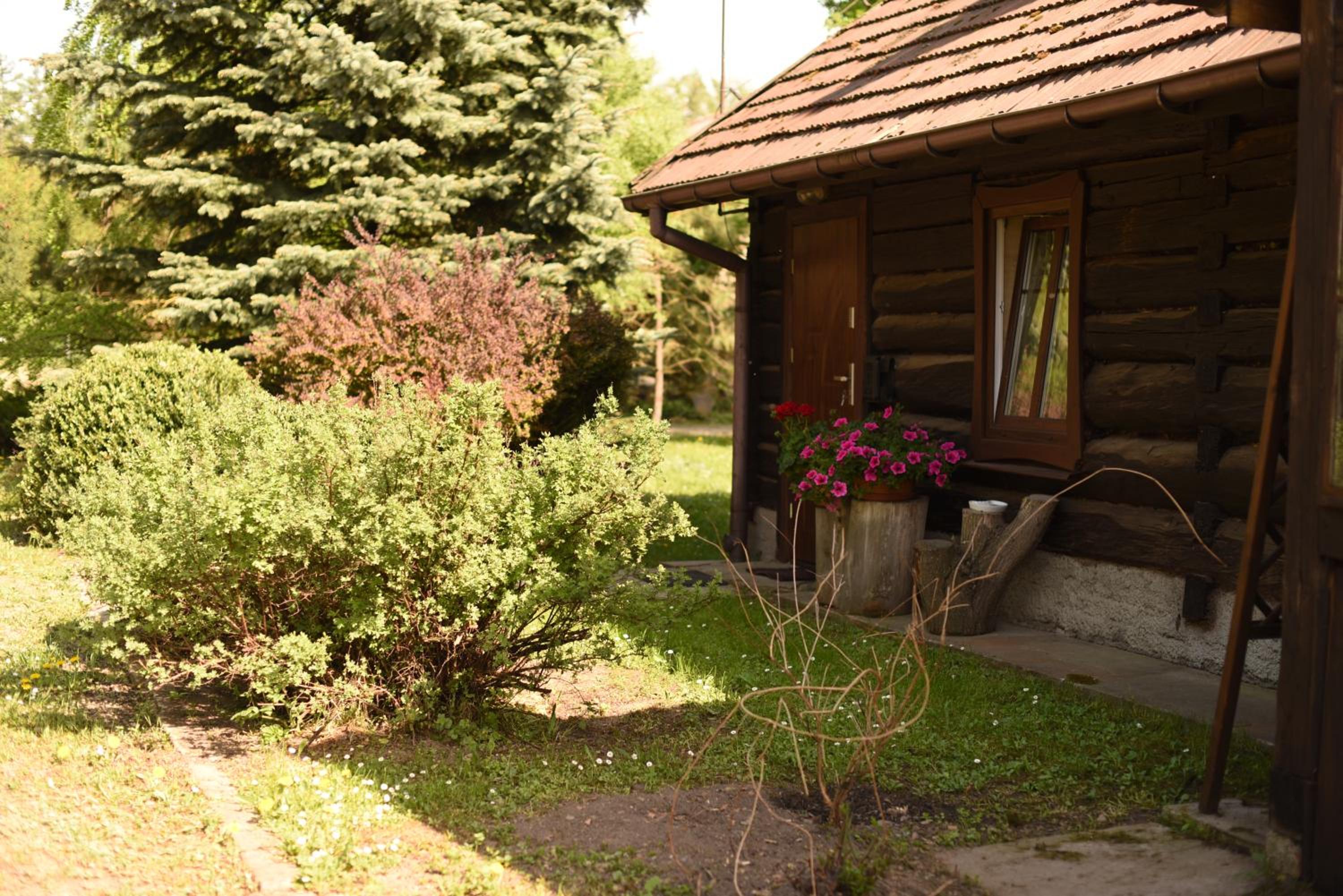 Photo 19