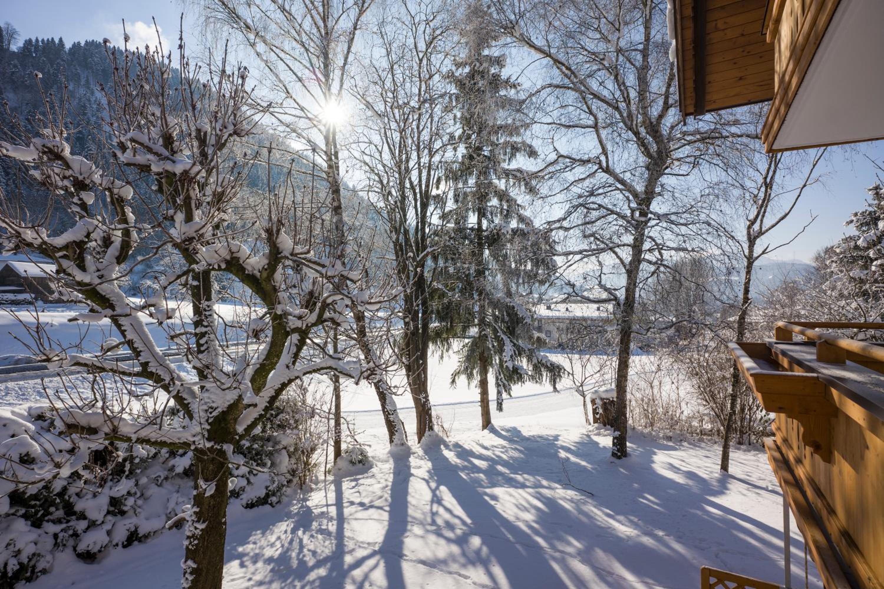 Ferienwohnung Lederer