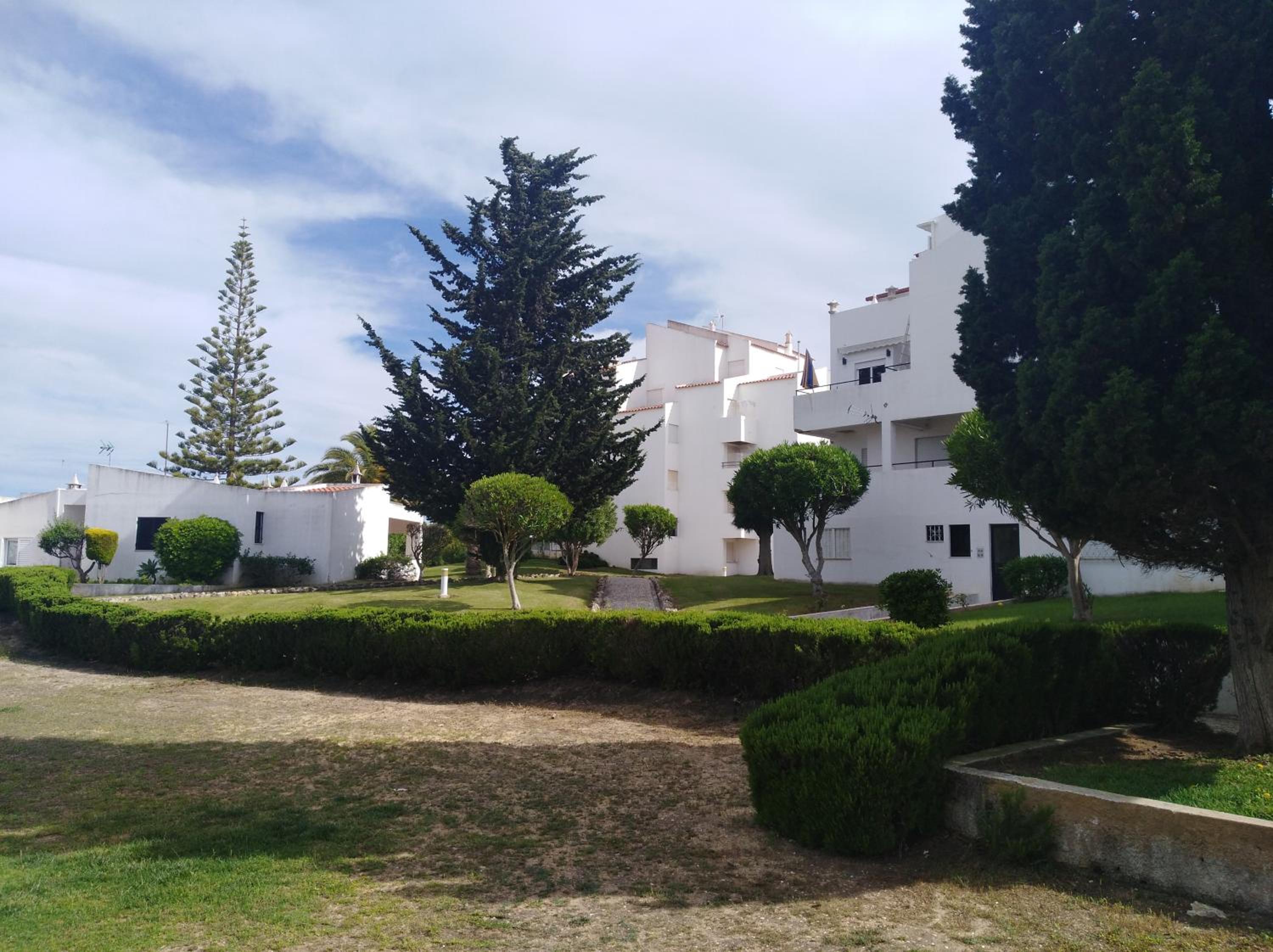 Dalia's House view 5