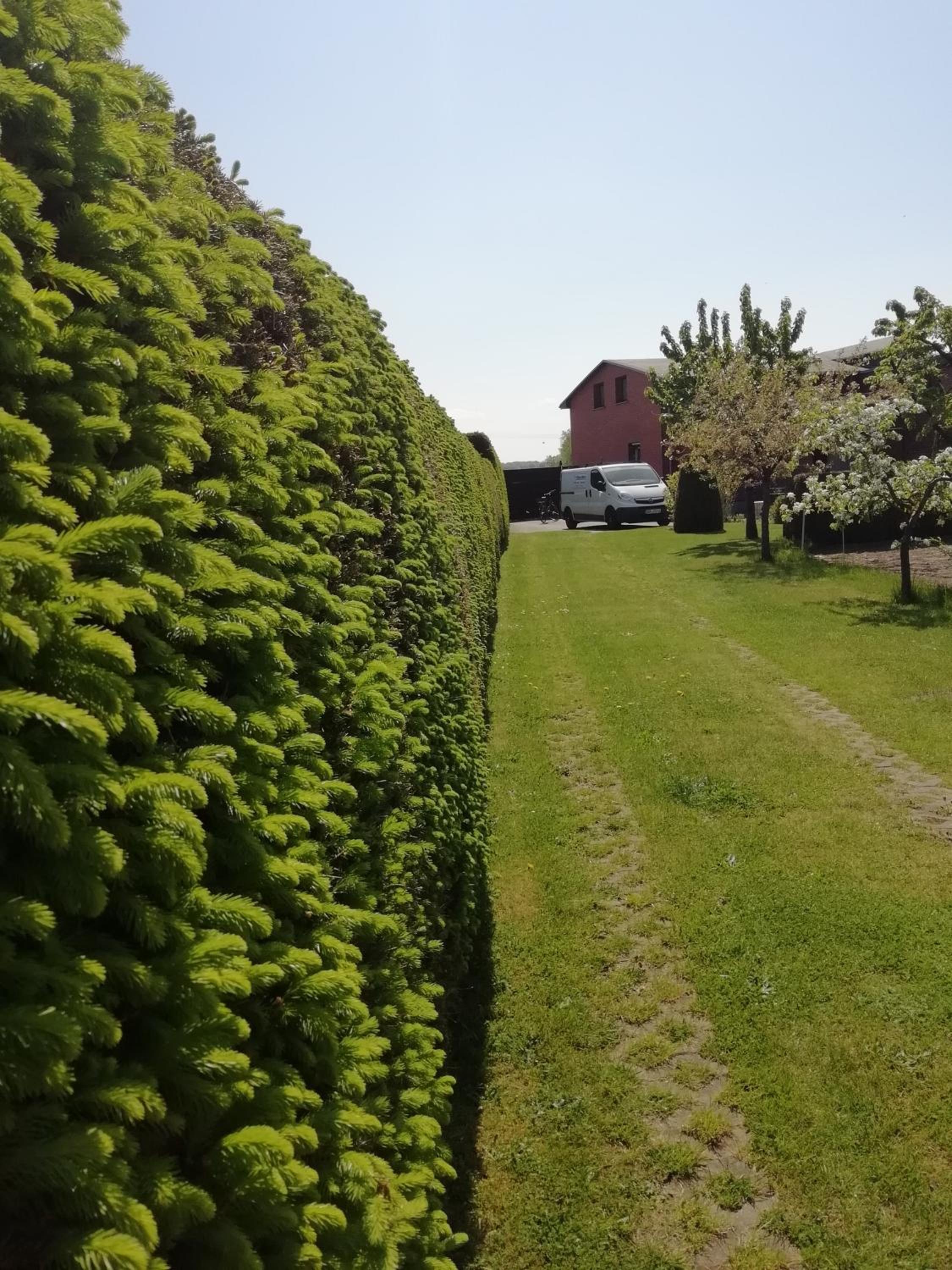 Häuschen im Grünen