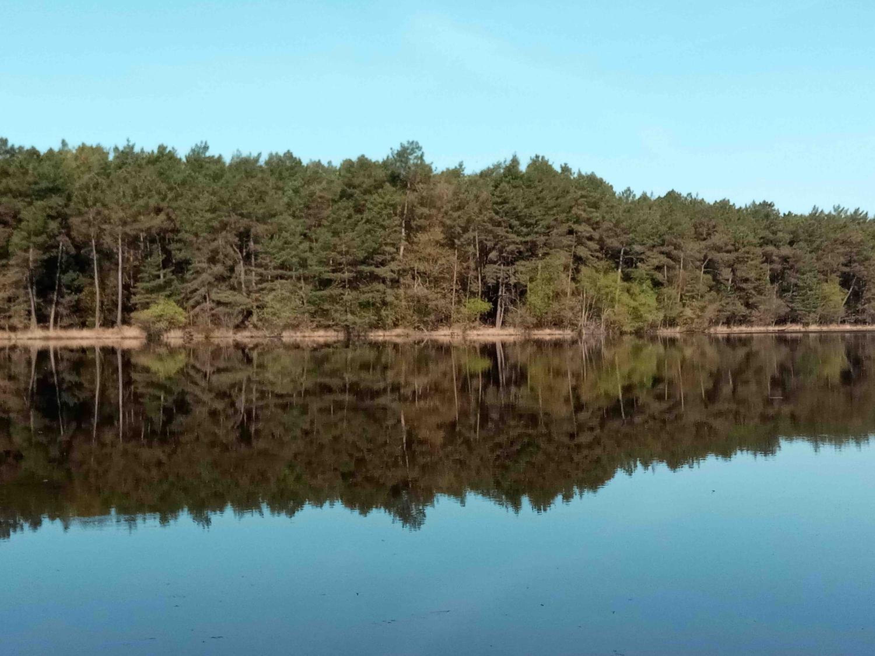 Hotel Le Cocon Enchanteur