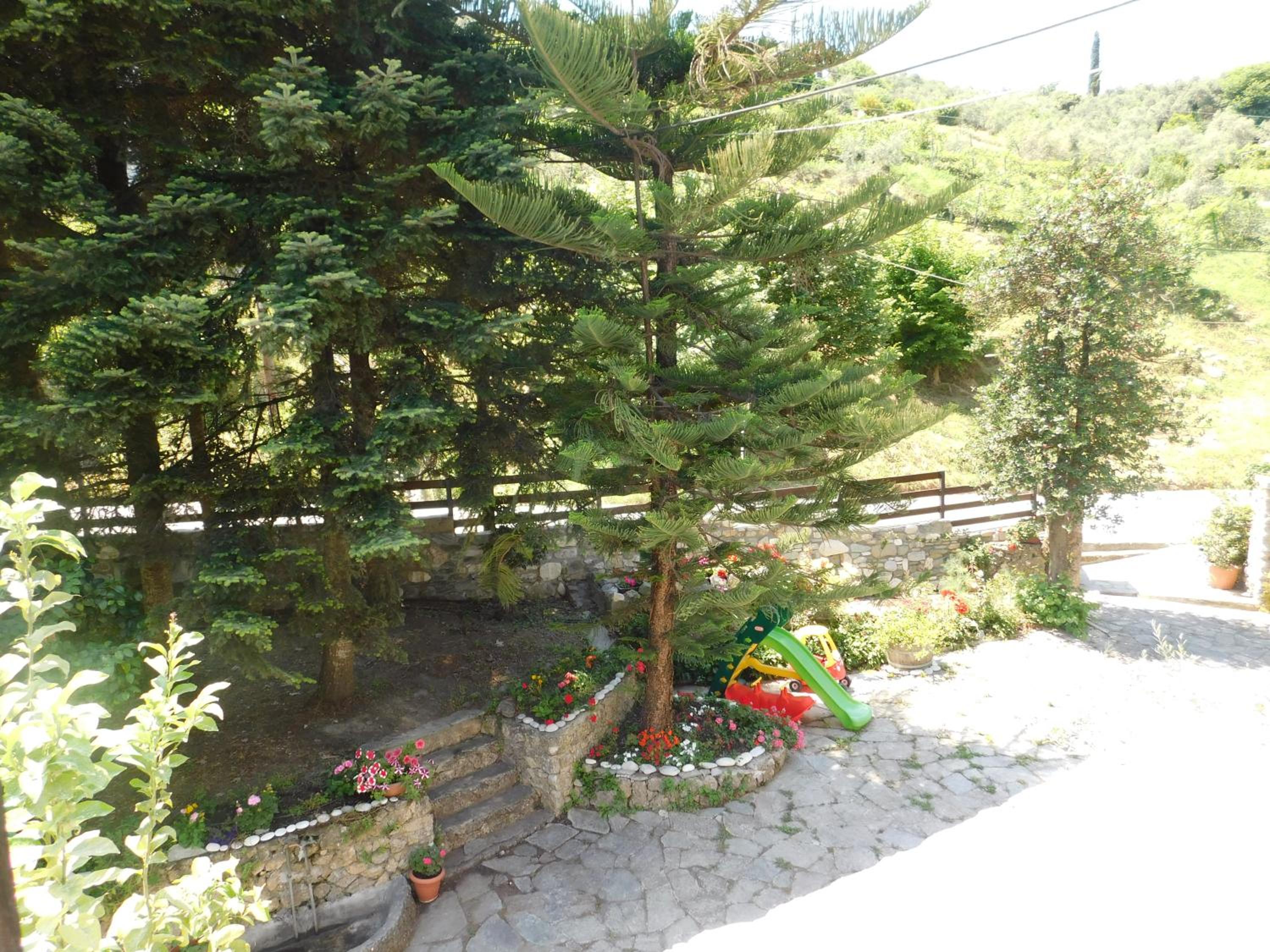 Photo 45