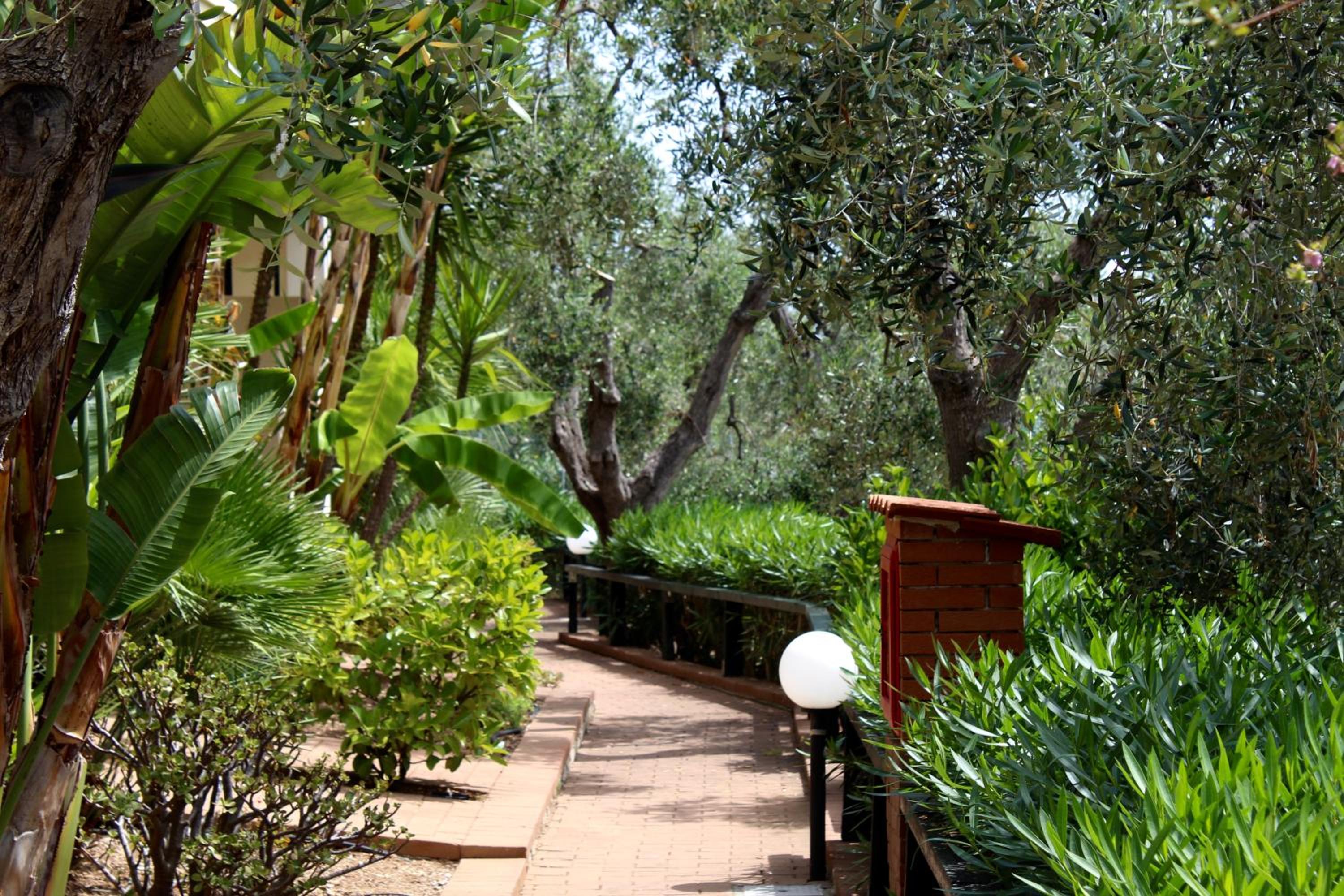 garden