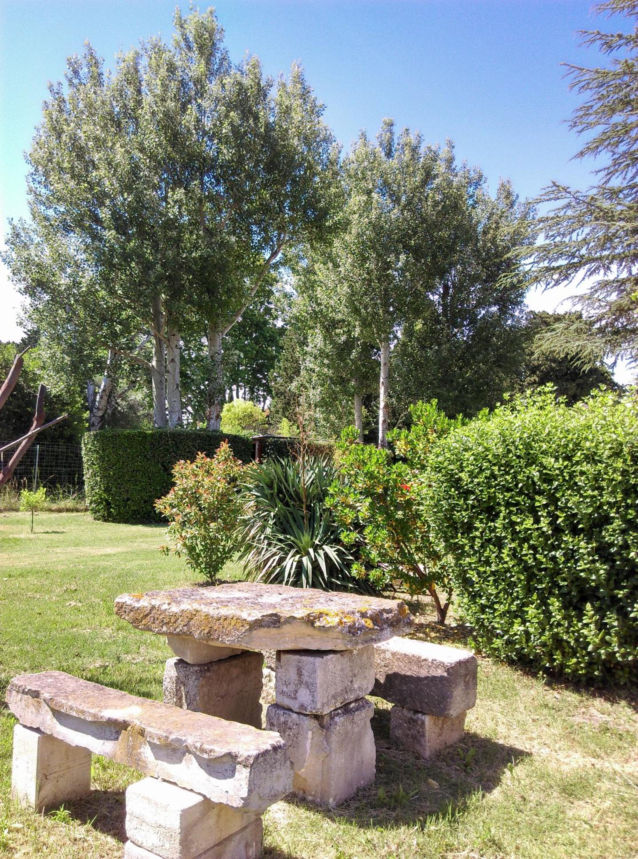 Photo 25