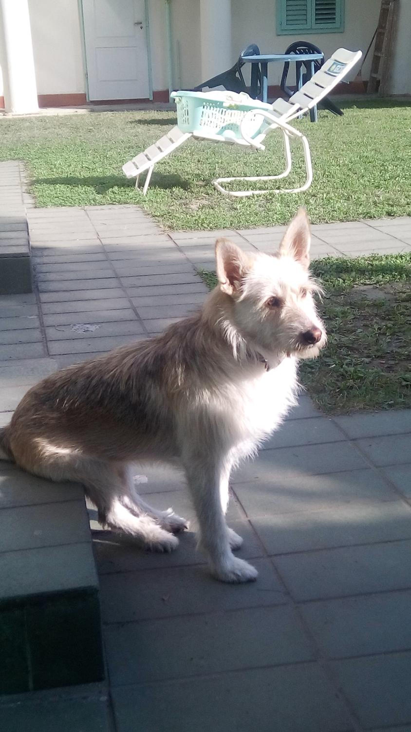 Photo 22