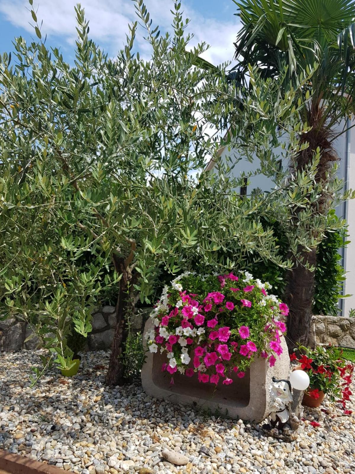 Guest House Katarina