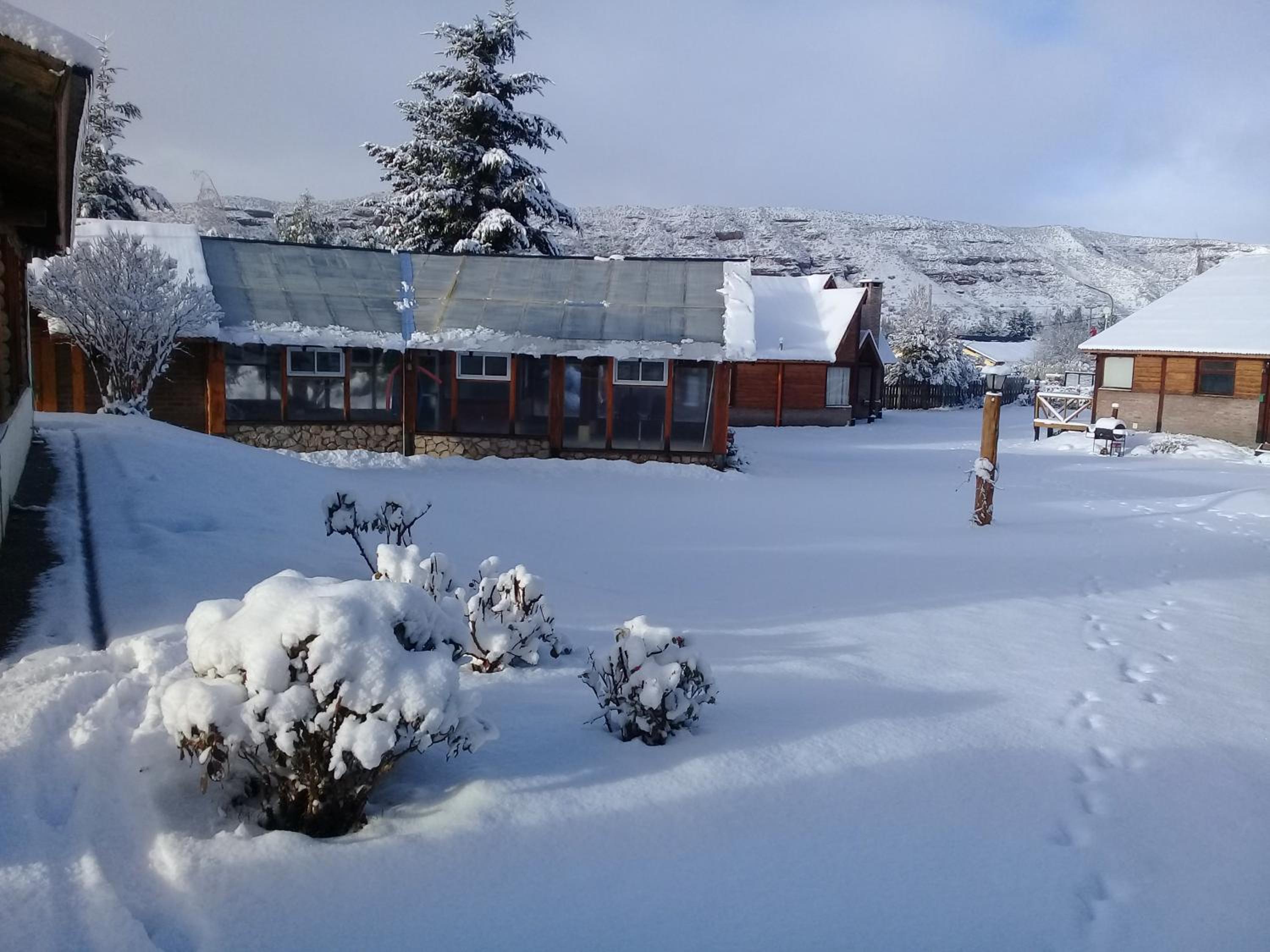 Cabañas Mapuche