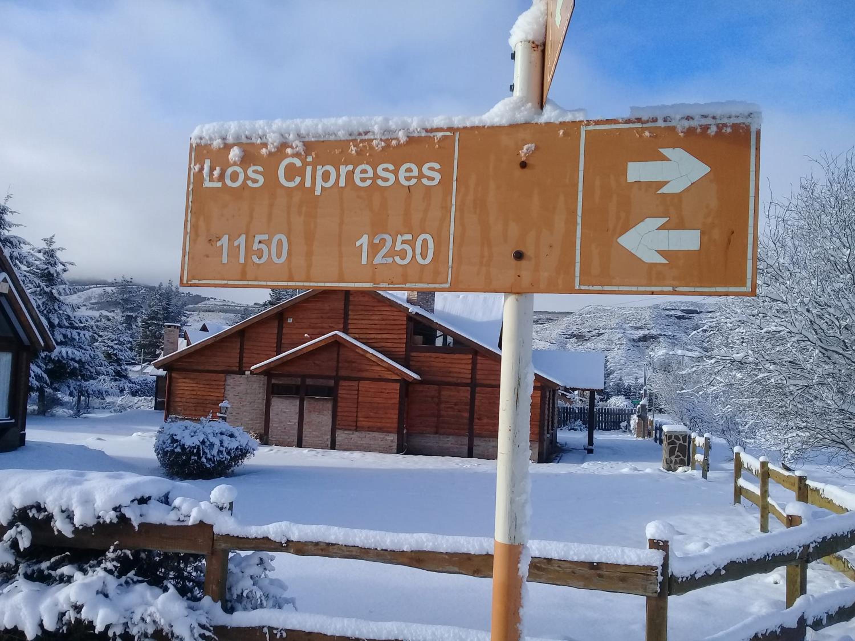 Cabañas Mapuche