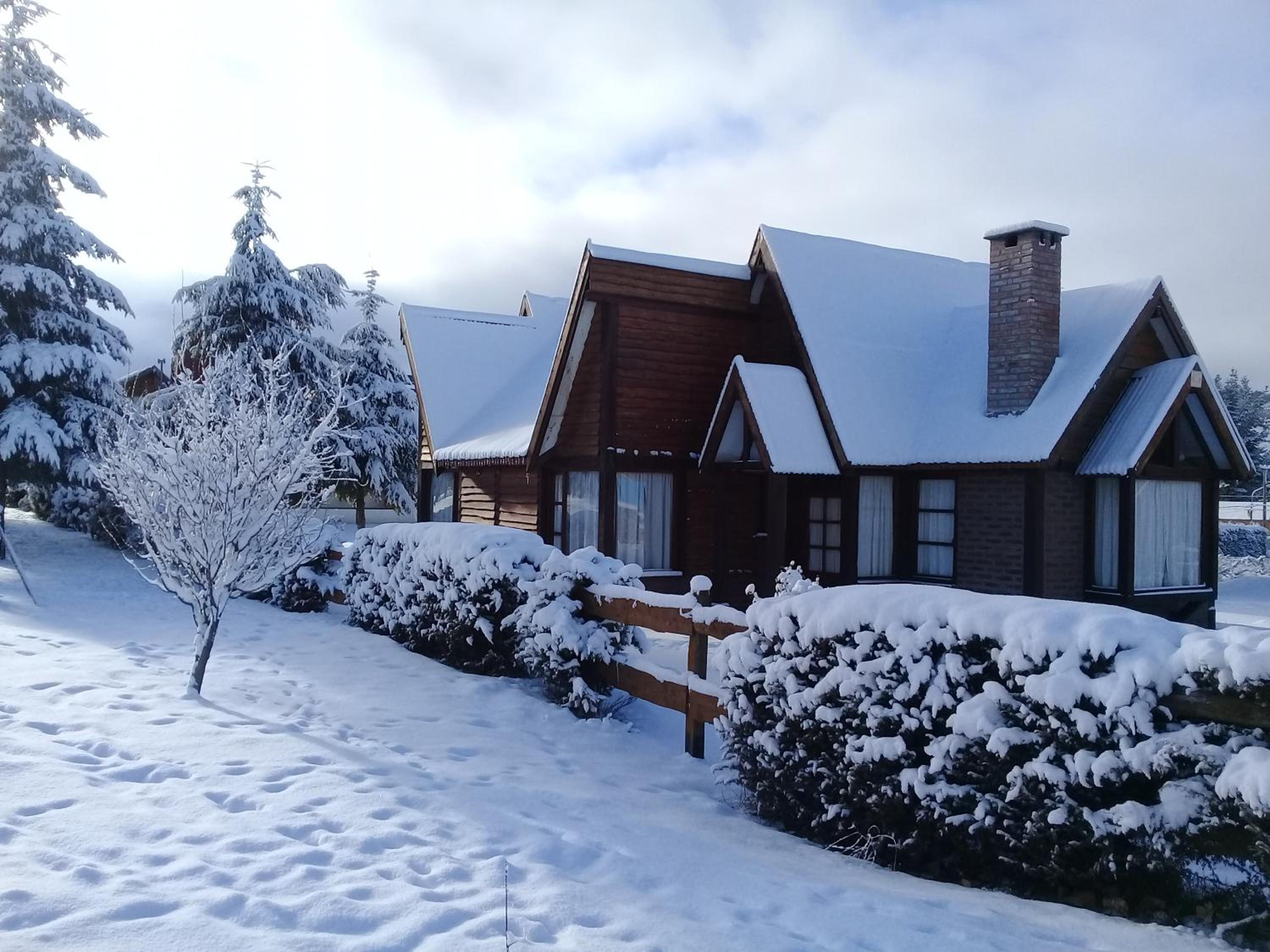Cabañas Mapuche