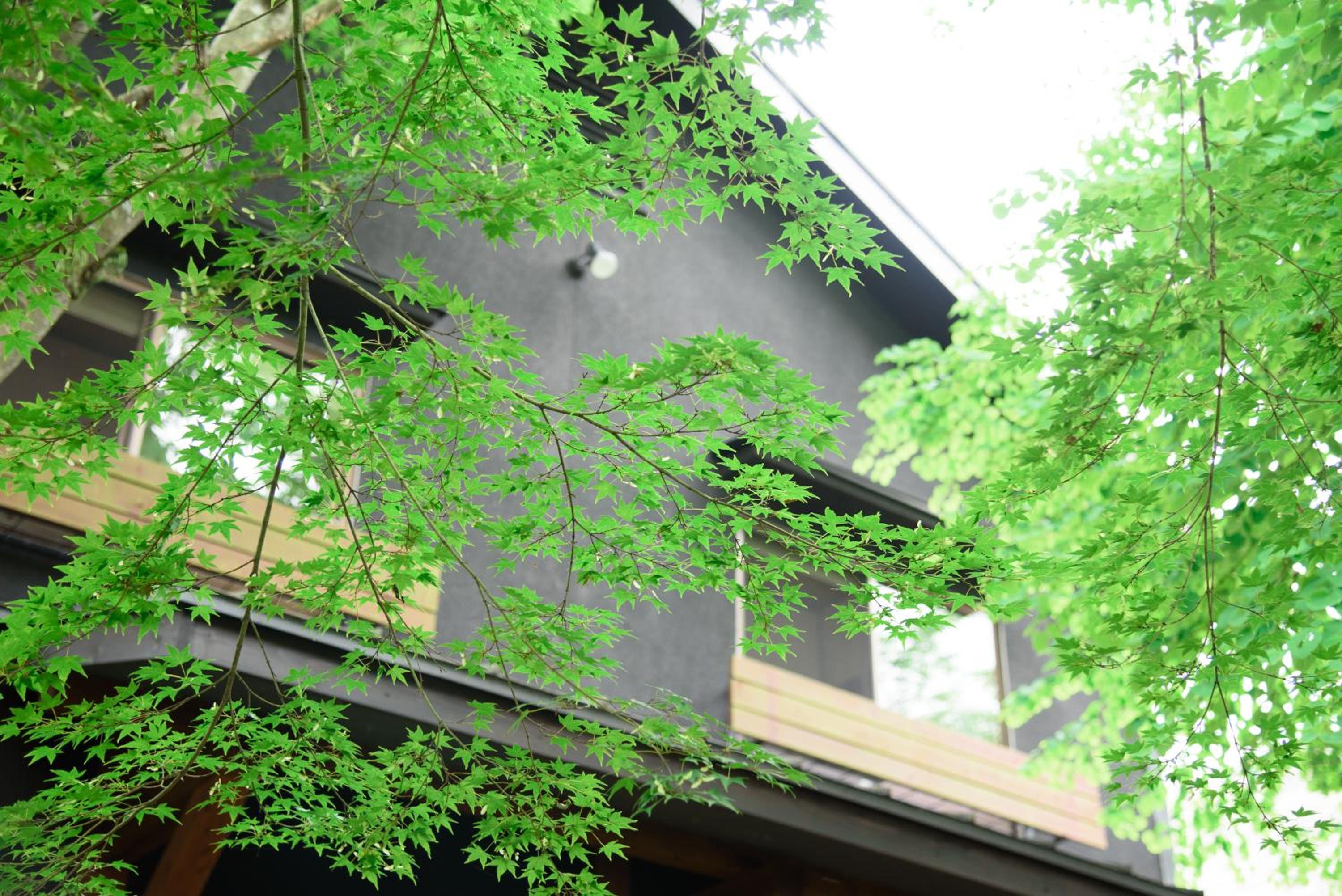 Yufuin Iyotomi
