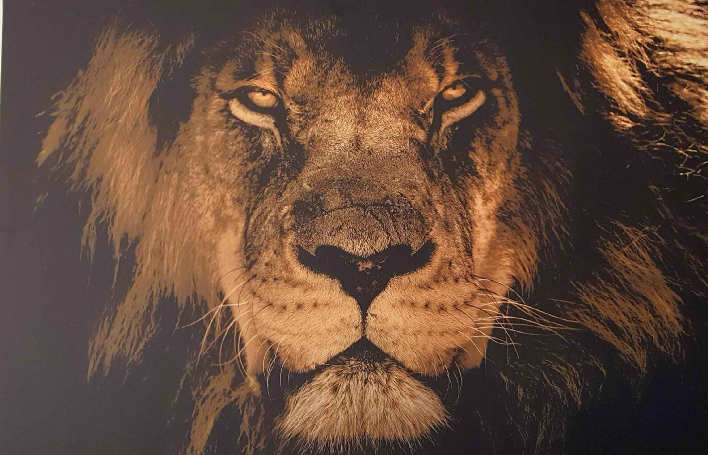 Ferienwohnung Cosmeahouse - Property Image 9