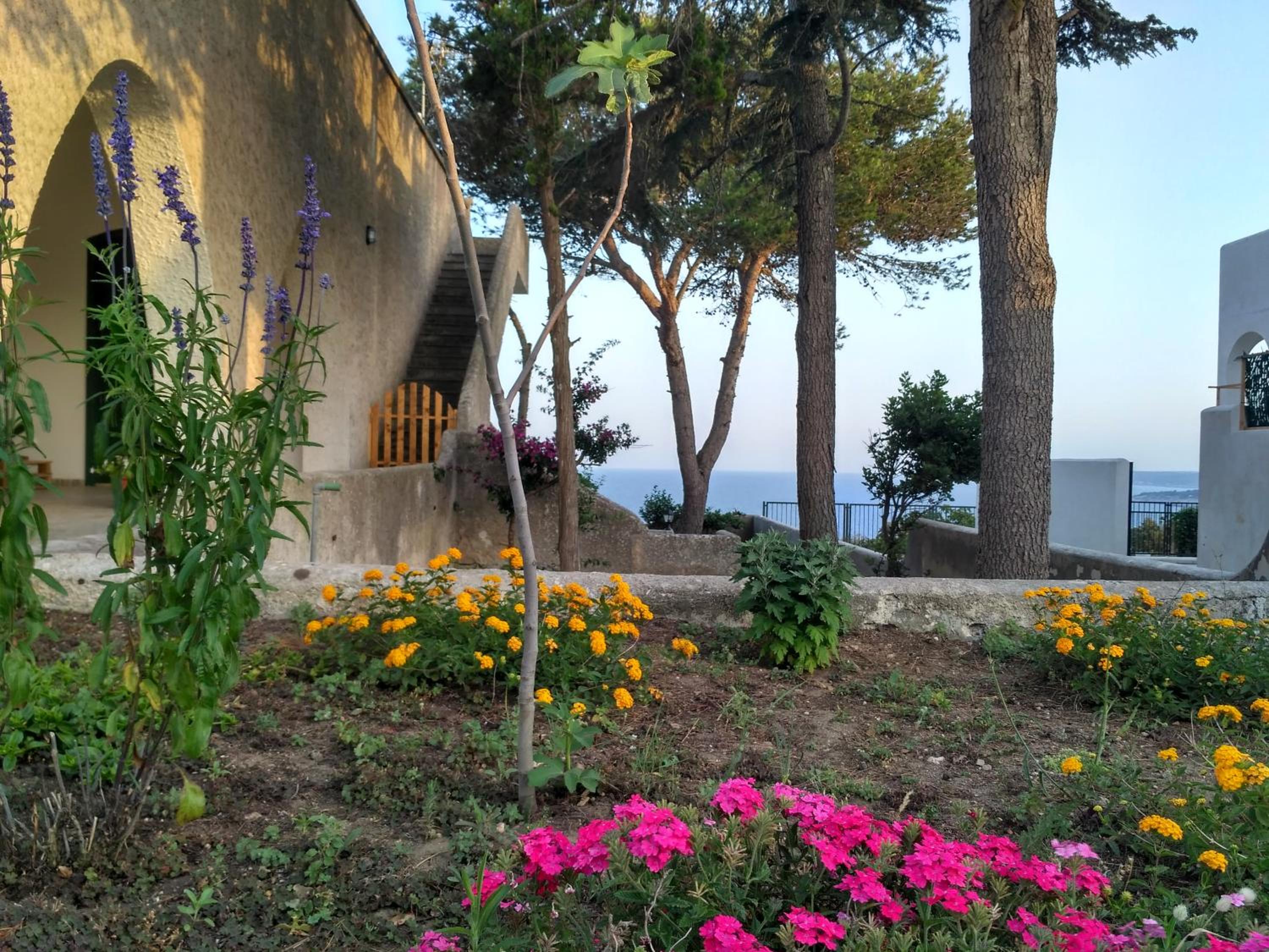 Photo 42