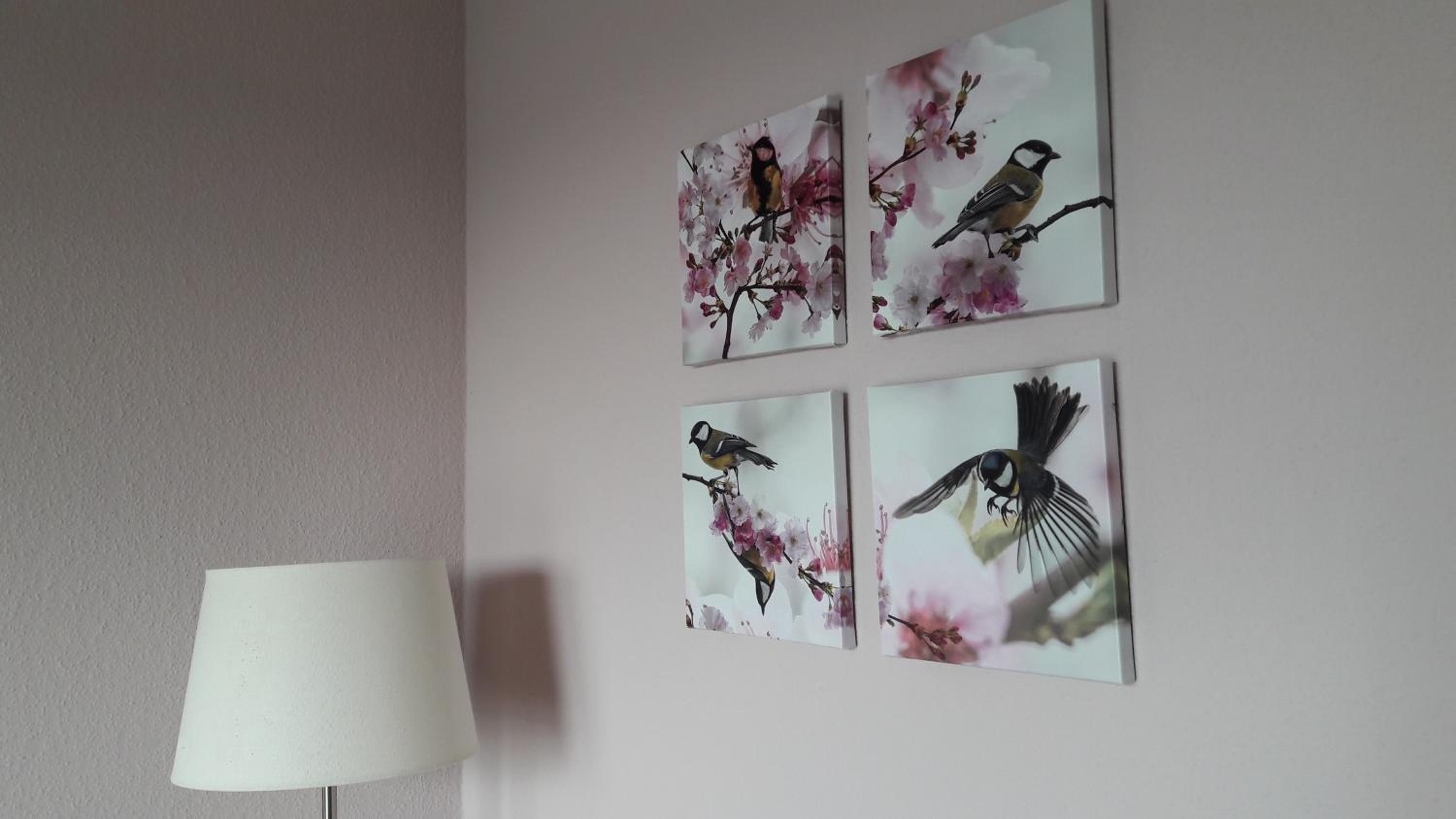 Ferienwohnung Sayntalblick