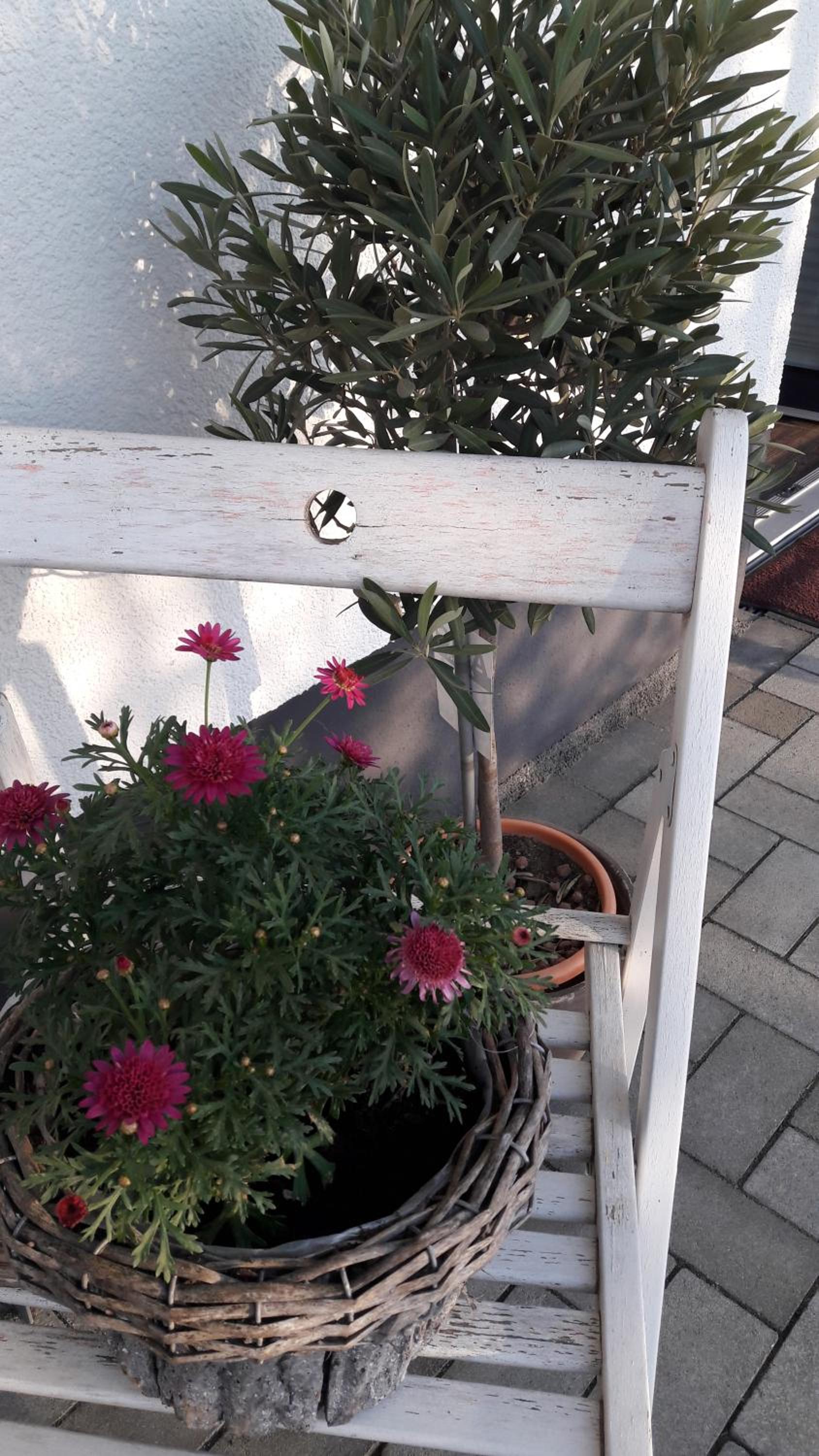 Ferienwohnung Sayntalblick