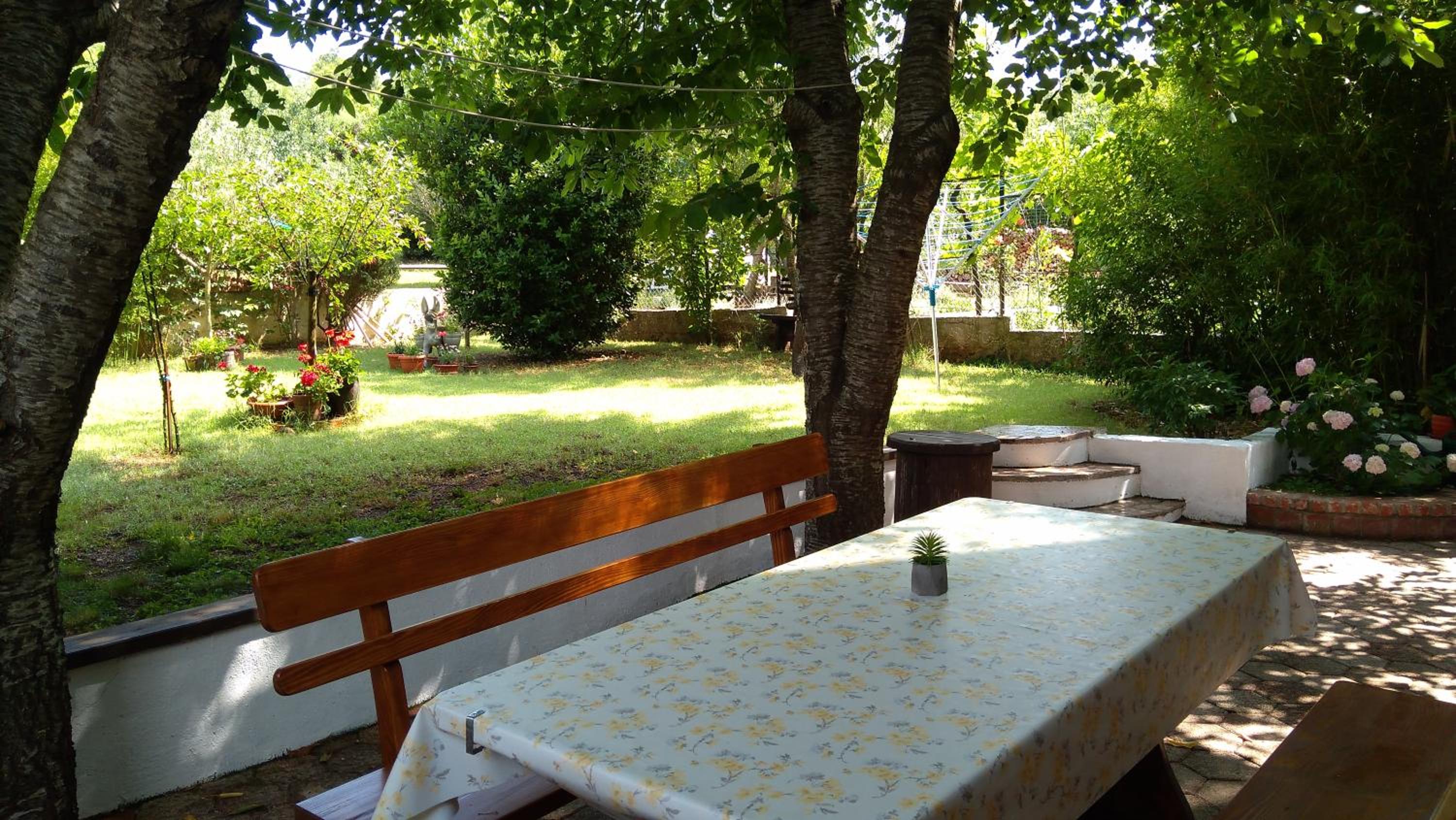 Apartment Drenovica view 5