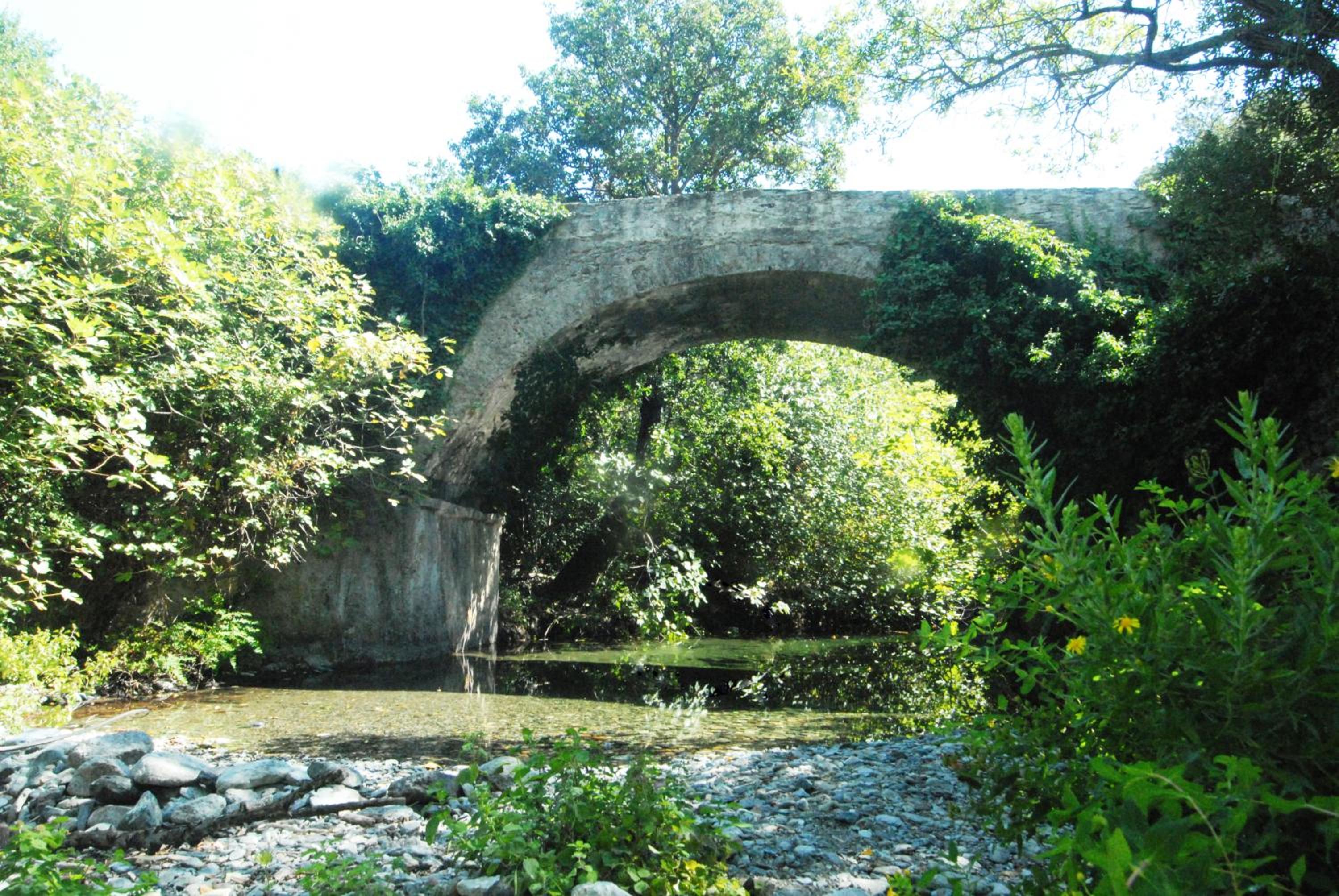 Photo 45