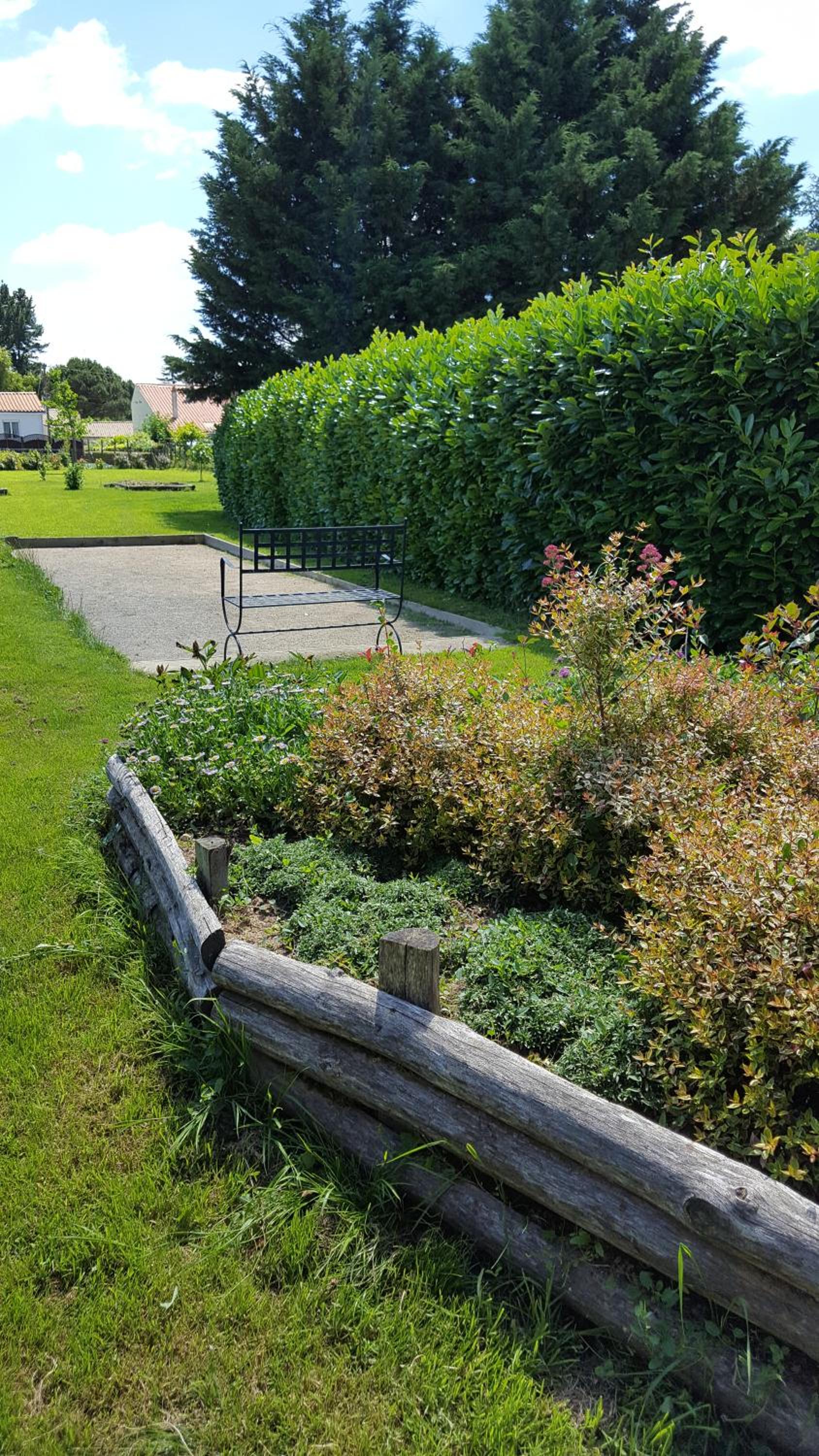 Photo 11