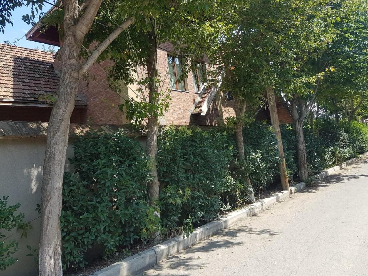 RARE house with garden
