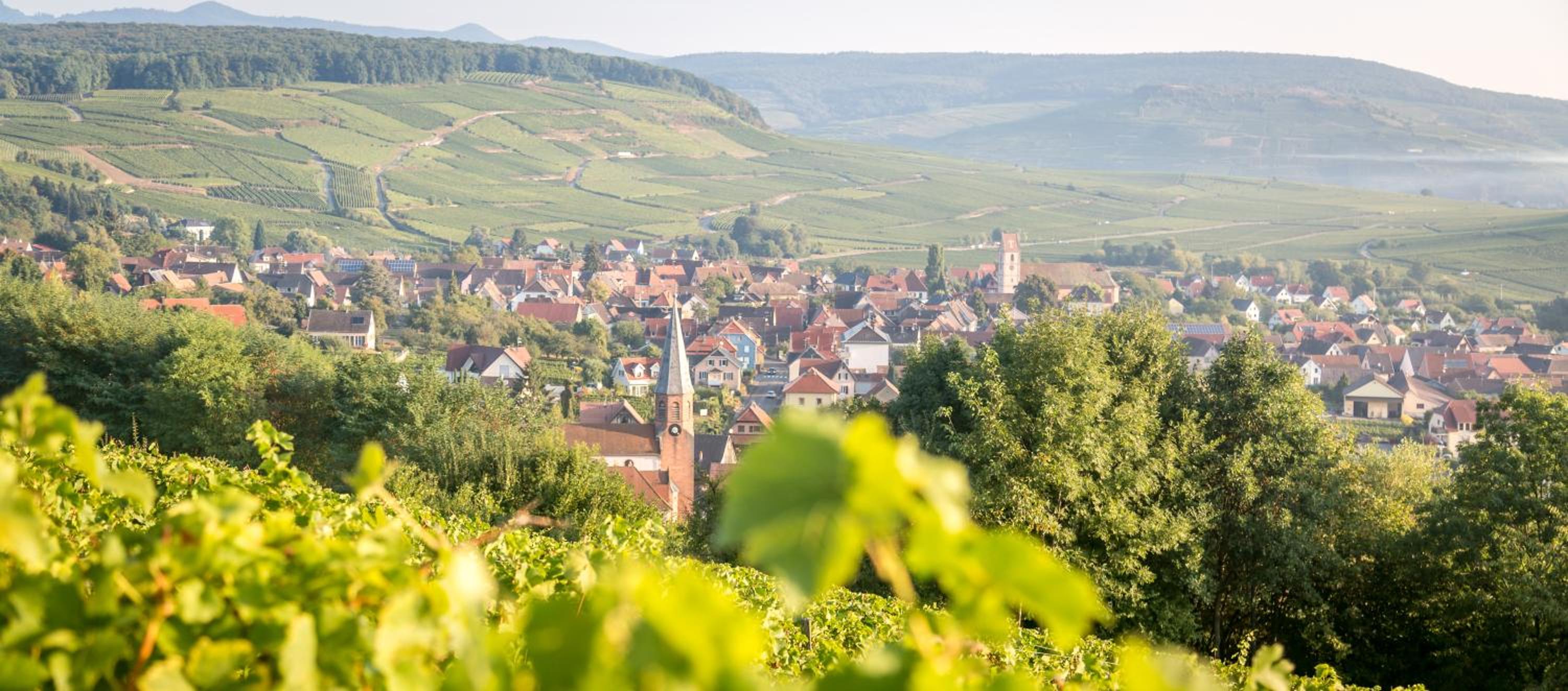 Gîtes & Chambes d'Hôtes Fugler view 3
