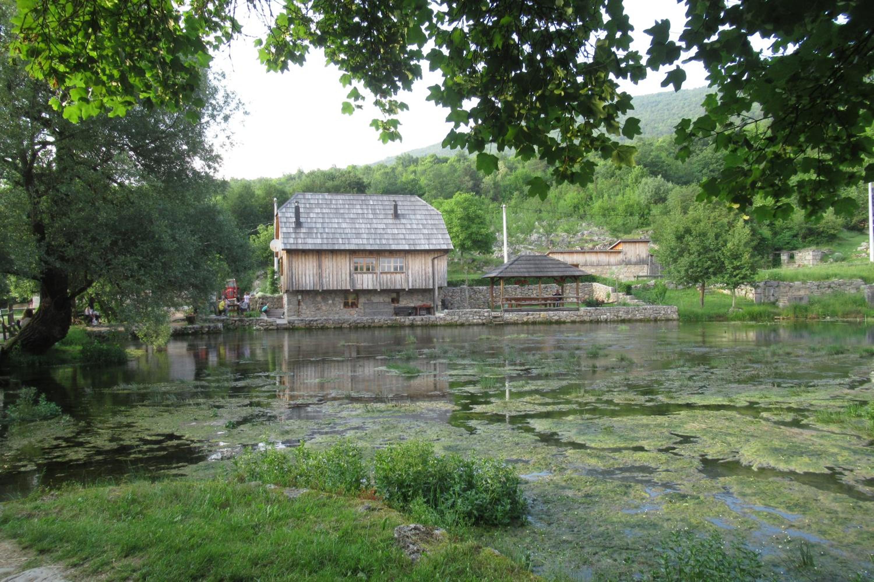 Photo 12
