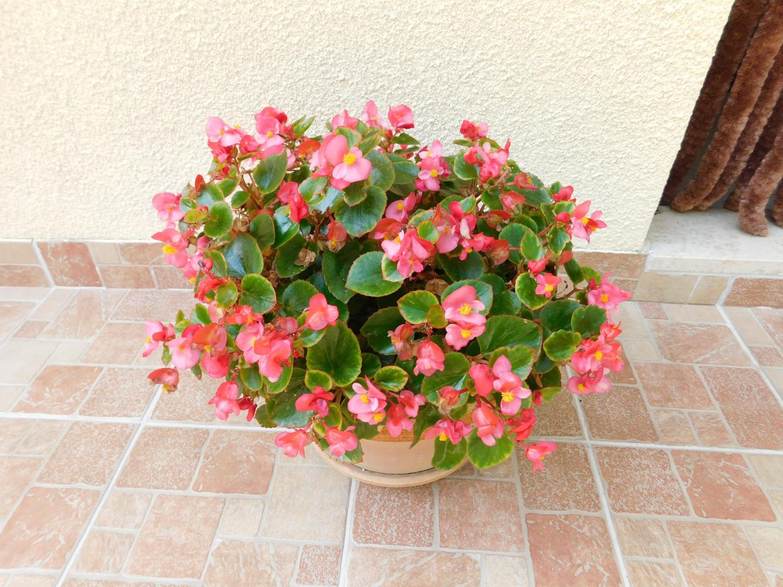 Photo 34