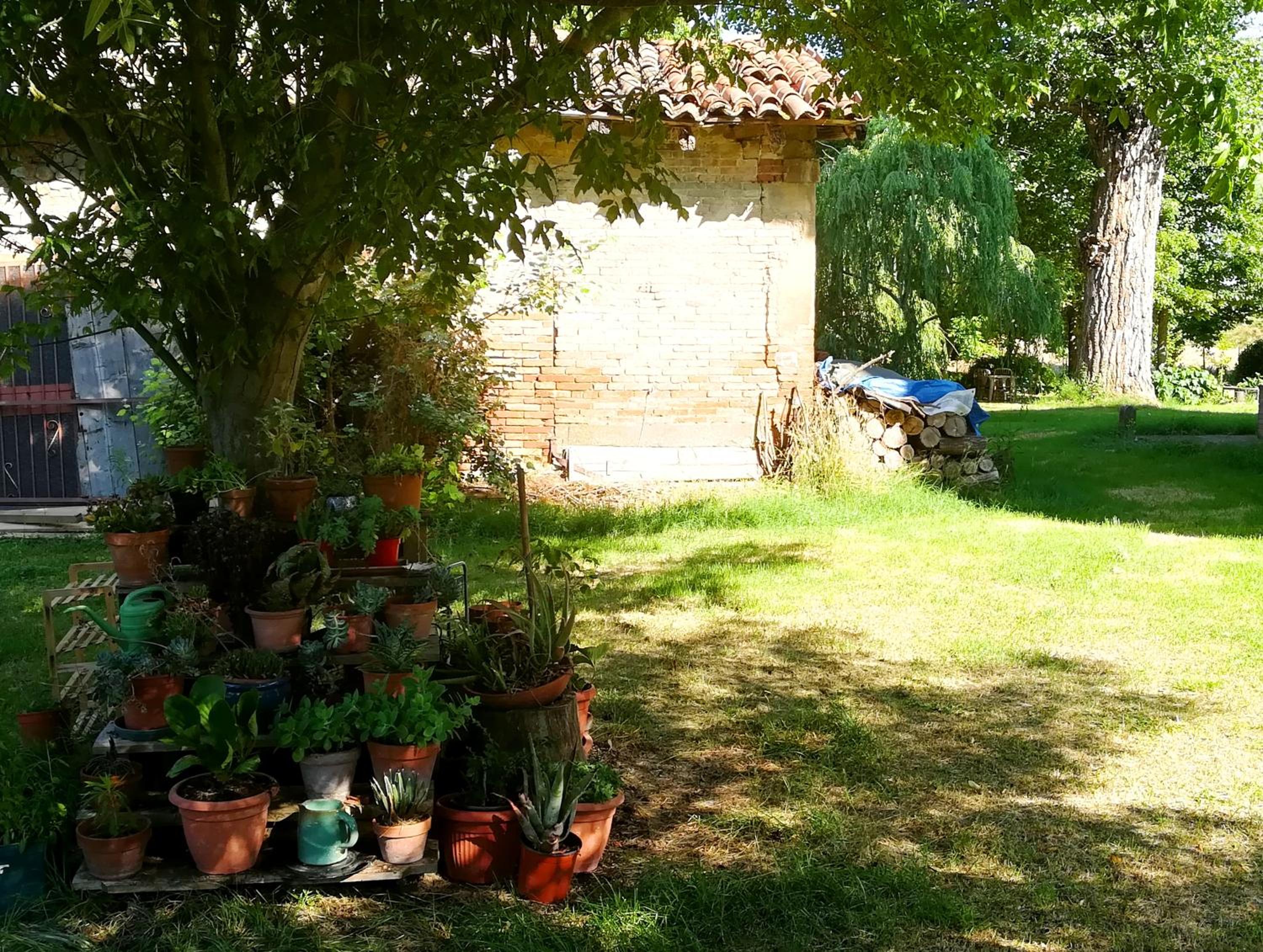 Photo 29