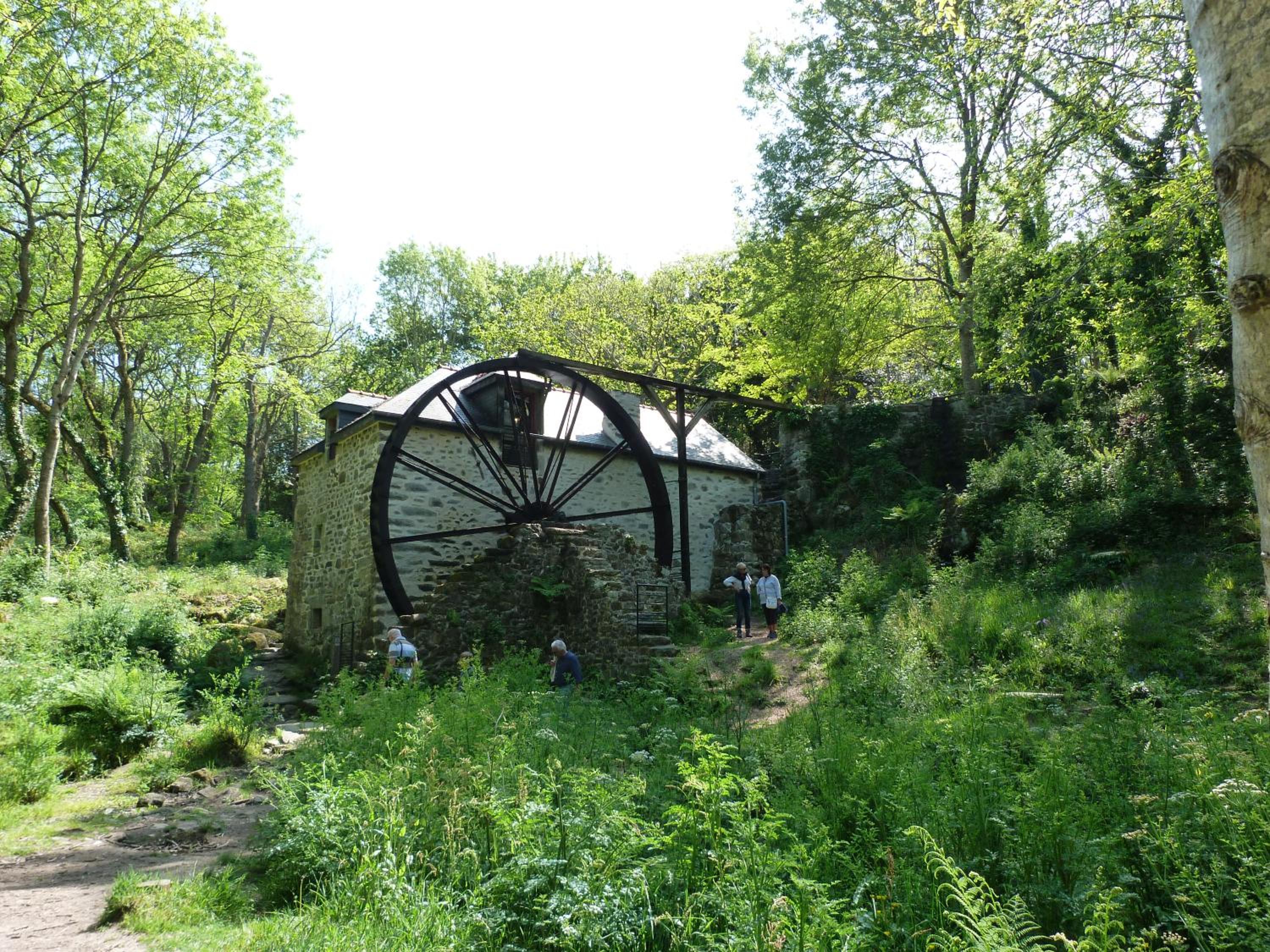 Photo 7