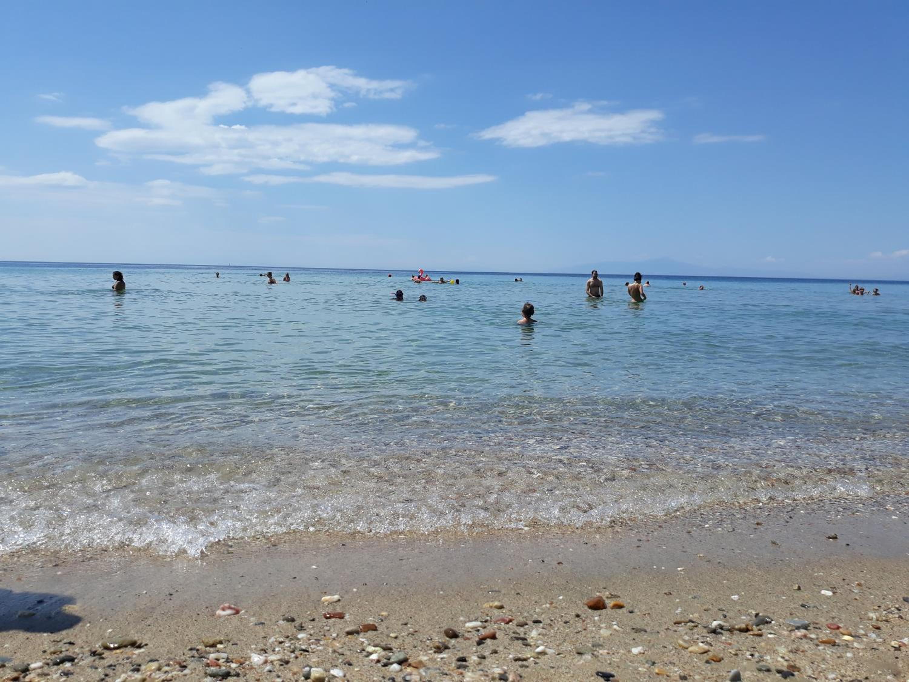 Photo 44