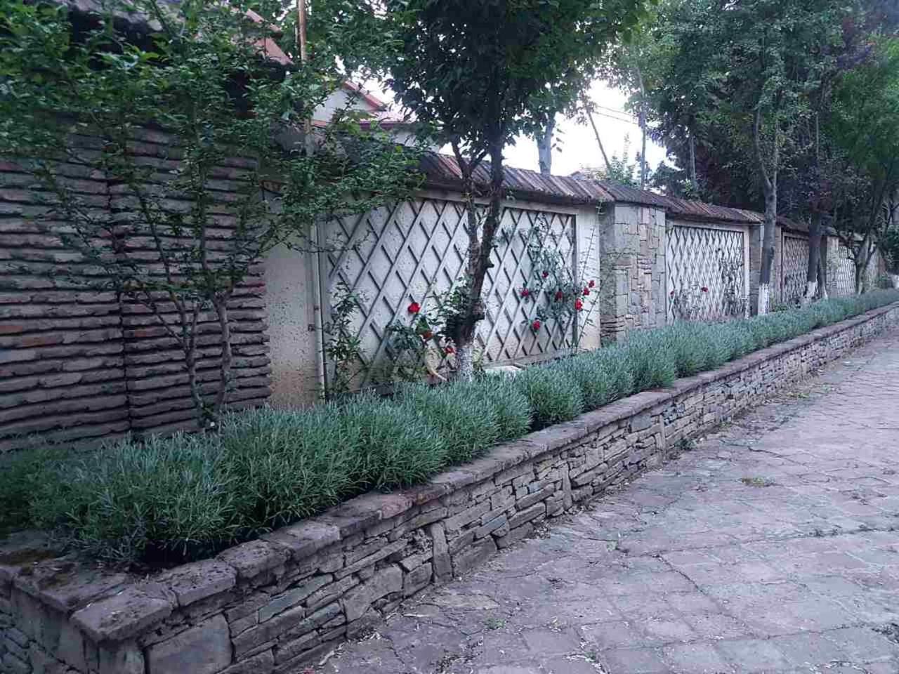 RARE house with garden