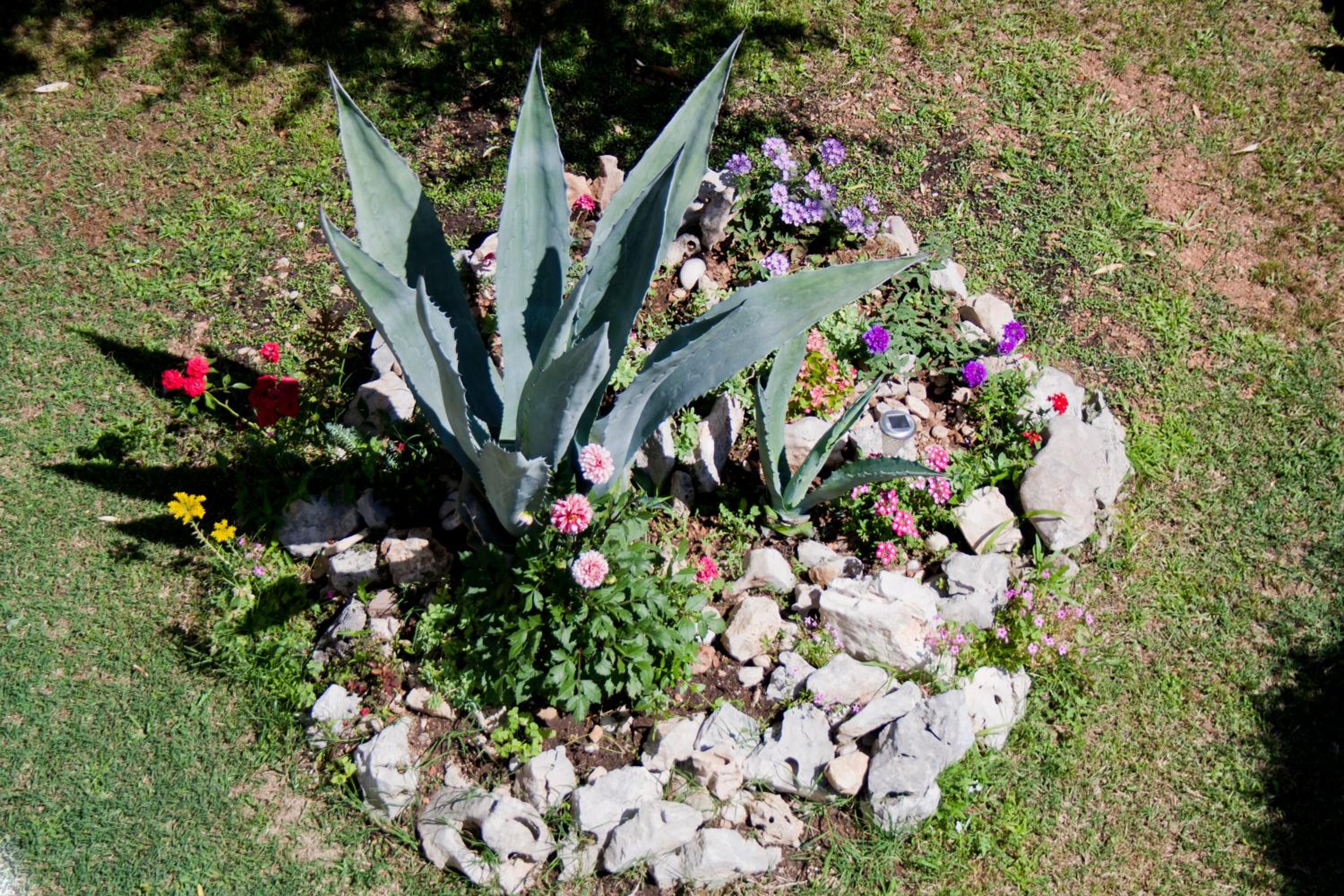 Photo 14
