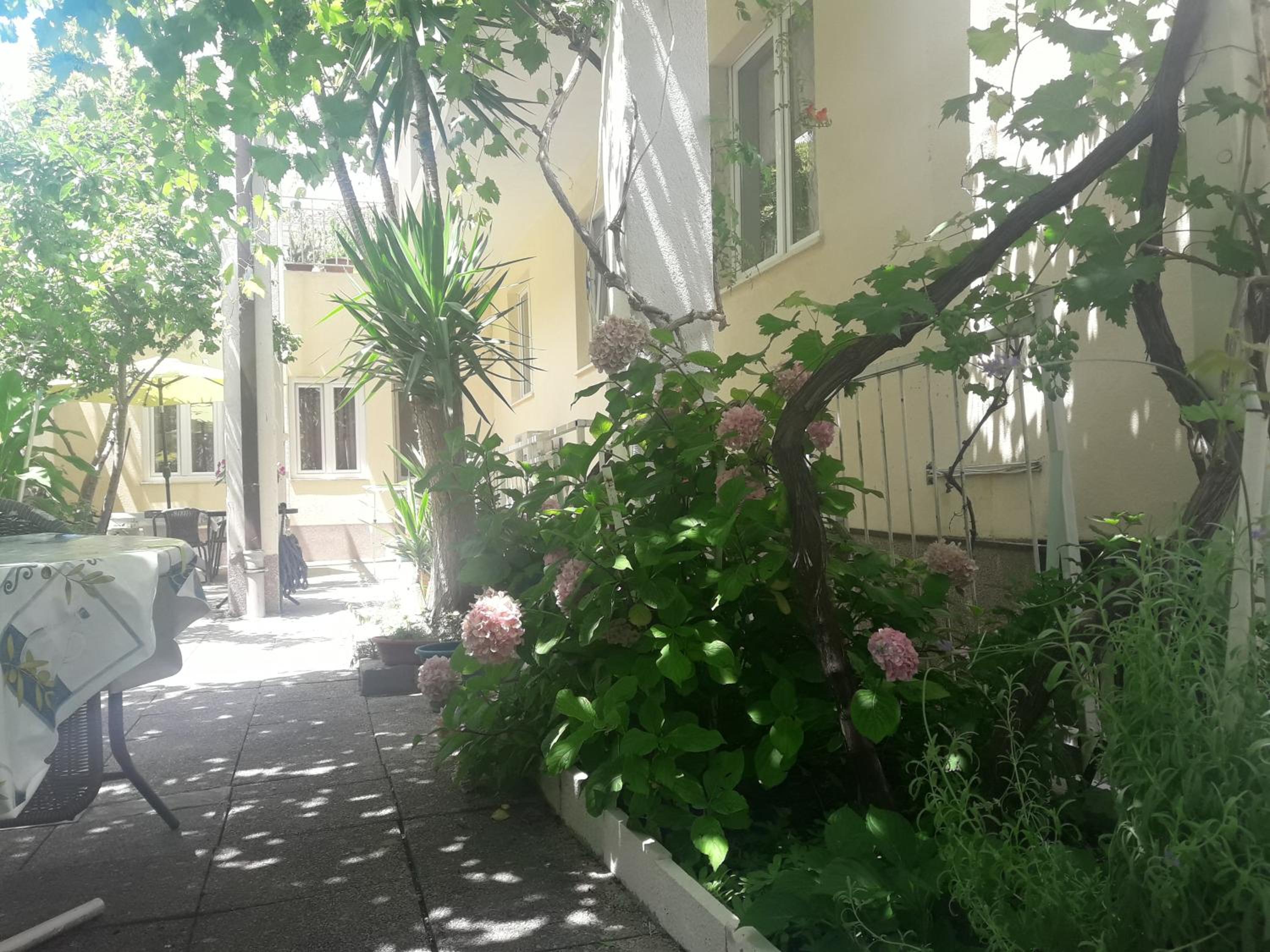 Photo 40