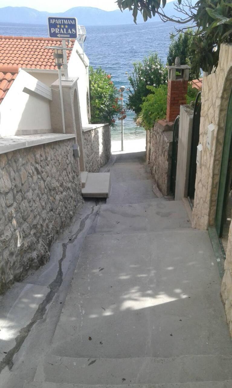 Photo 46