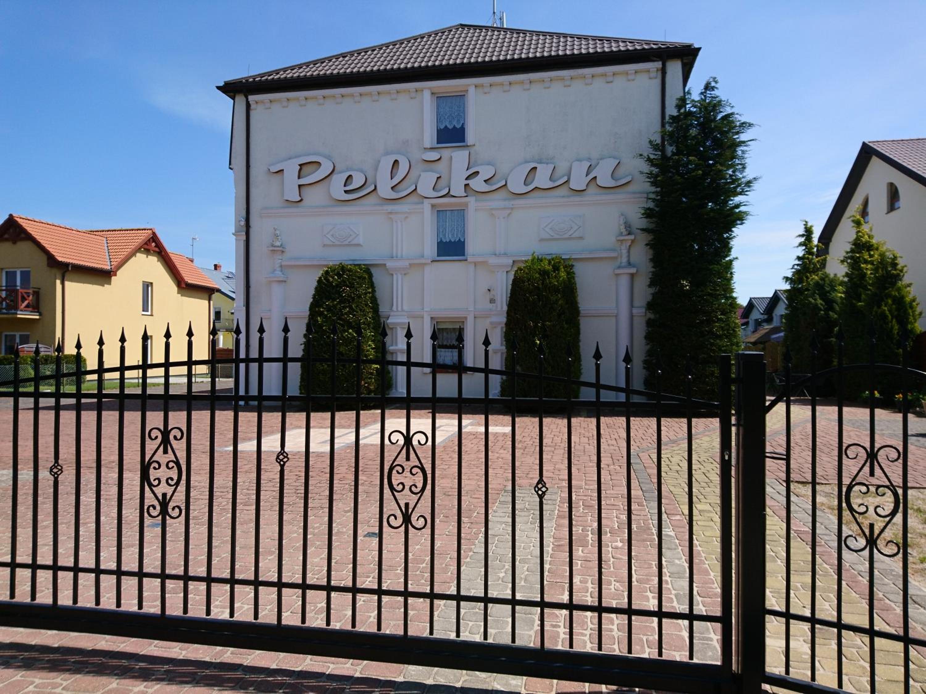 Pelikan I