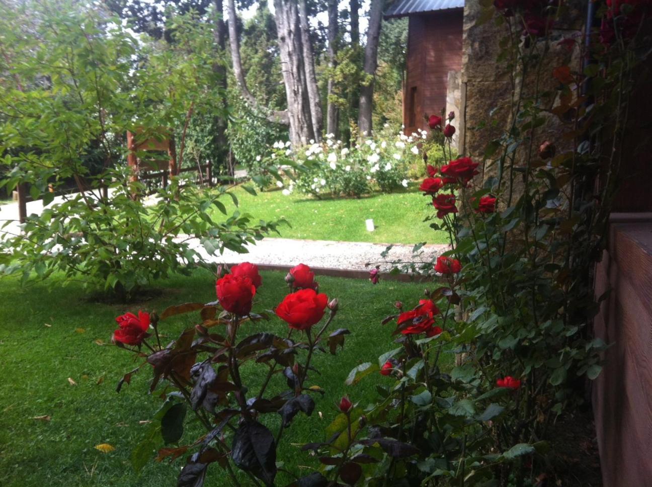 Cabañas Bosque del Nahuel