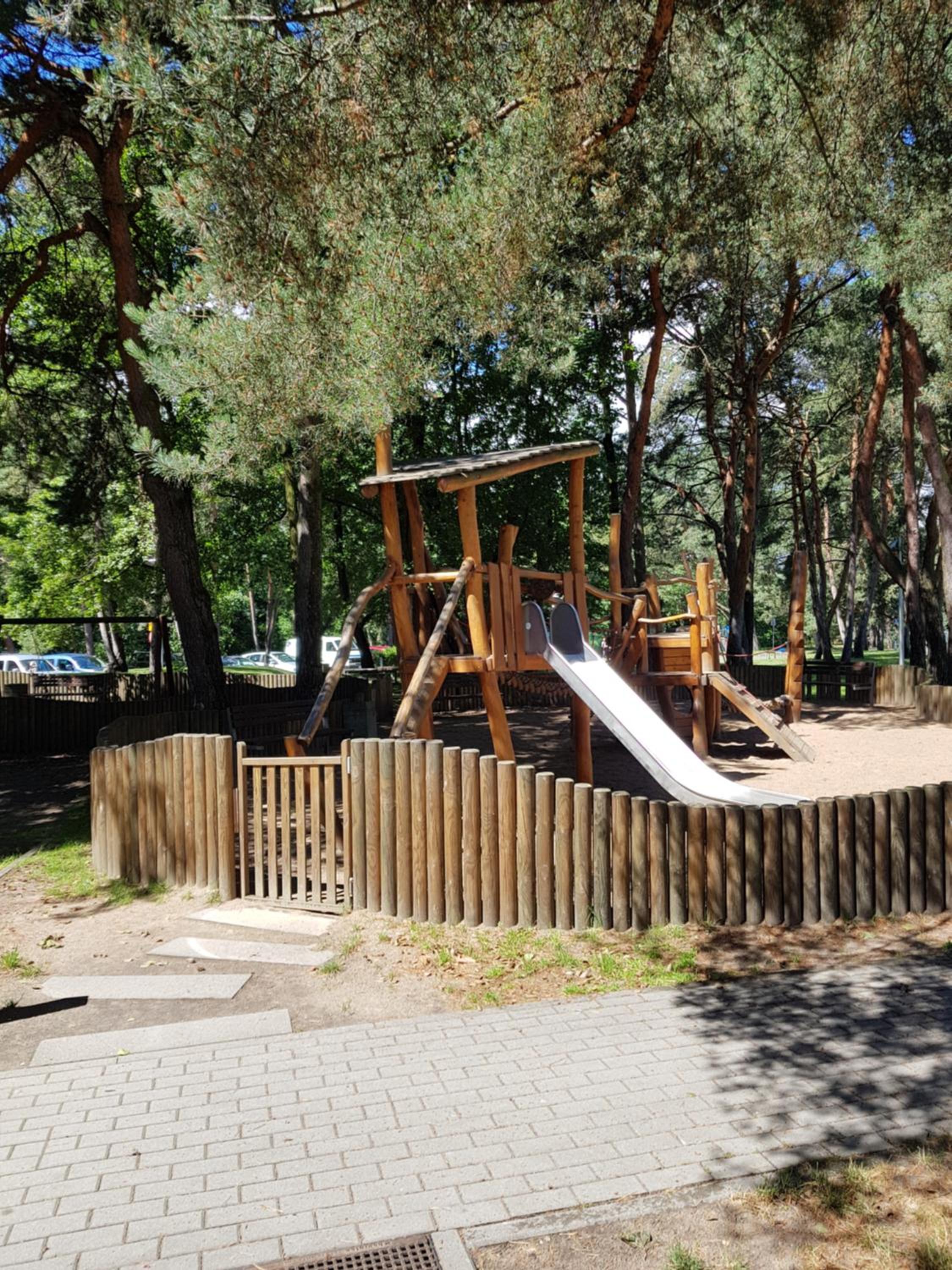 Photo 11