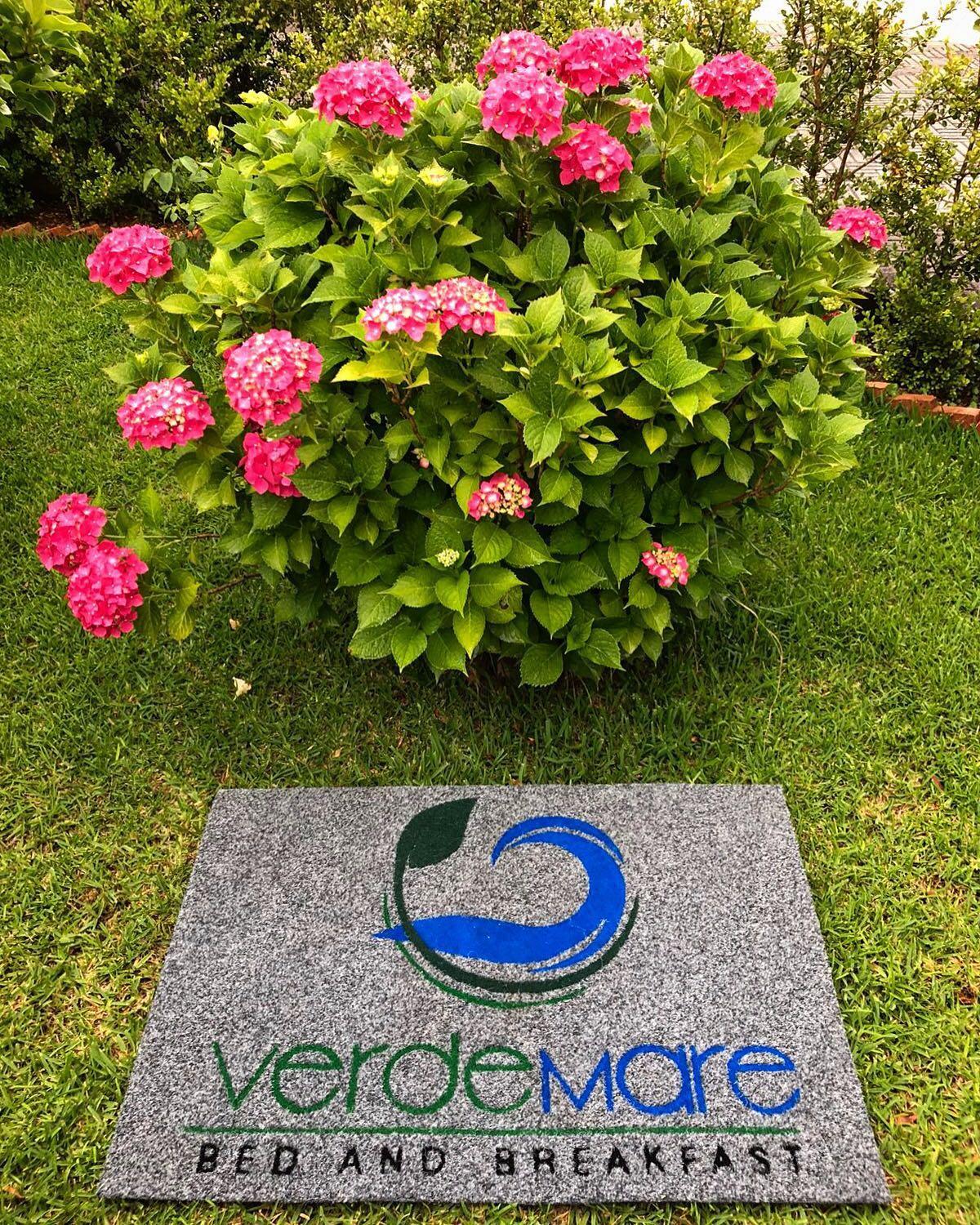 B&b VerdeMare Camerota view 5