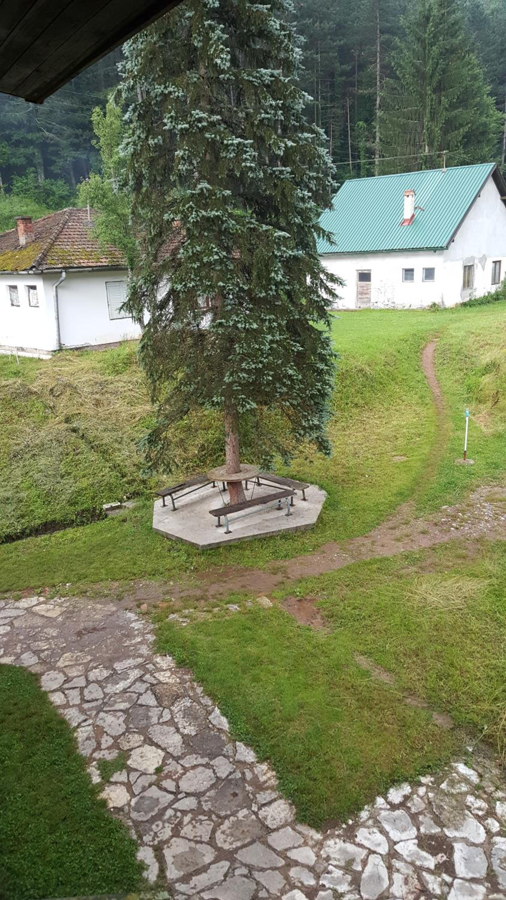 Photo 9